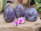 Polished Lepidolite Standing Free Forms x 3 From Madagascar - Toprock Gemstones and Minerals 