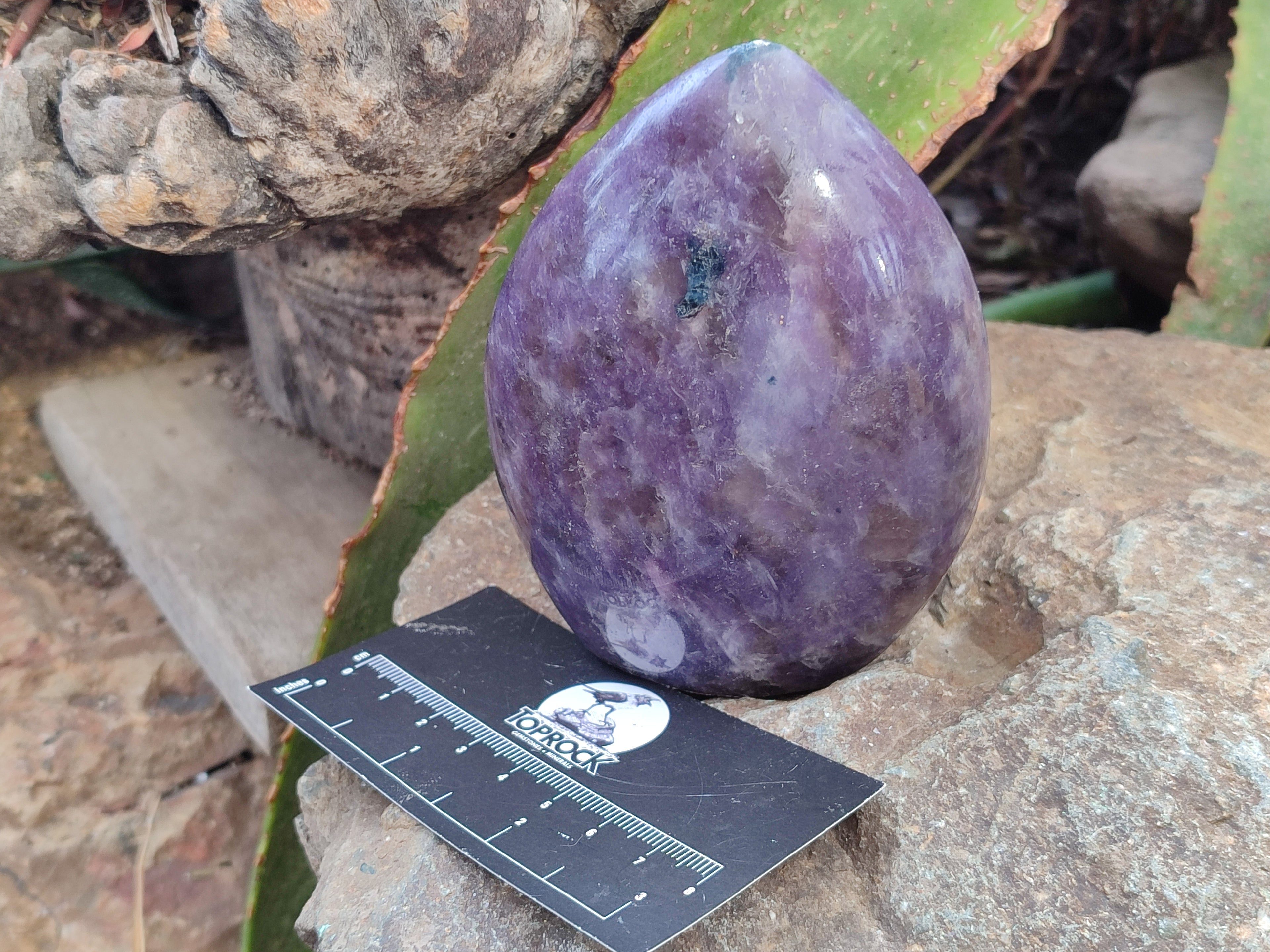 Polished Lepidolite Standing Free Forms x 3 From Madagascar - Toprock Gemstones and Minerals 