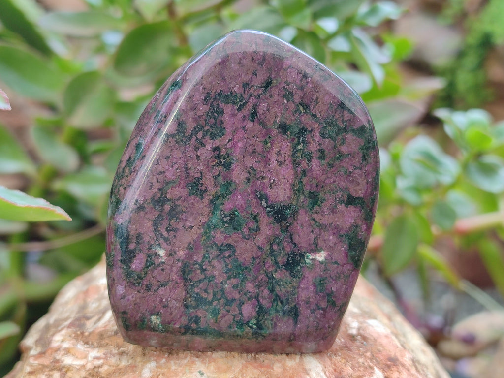 Polished Ruby Corundum In Chrome Verdite Standing Free Forms x 3 From Zimbabwe - Toprock Gemstones and Minerals 