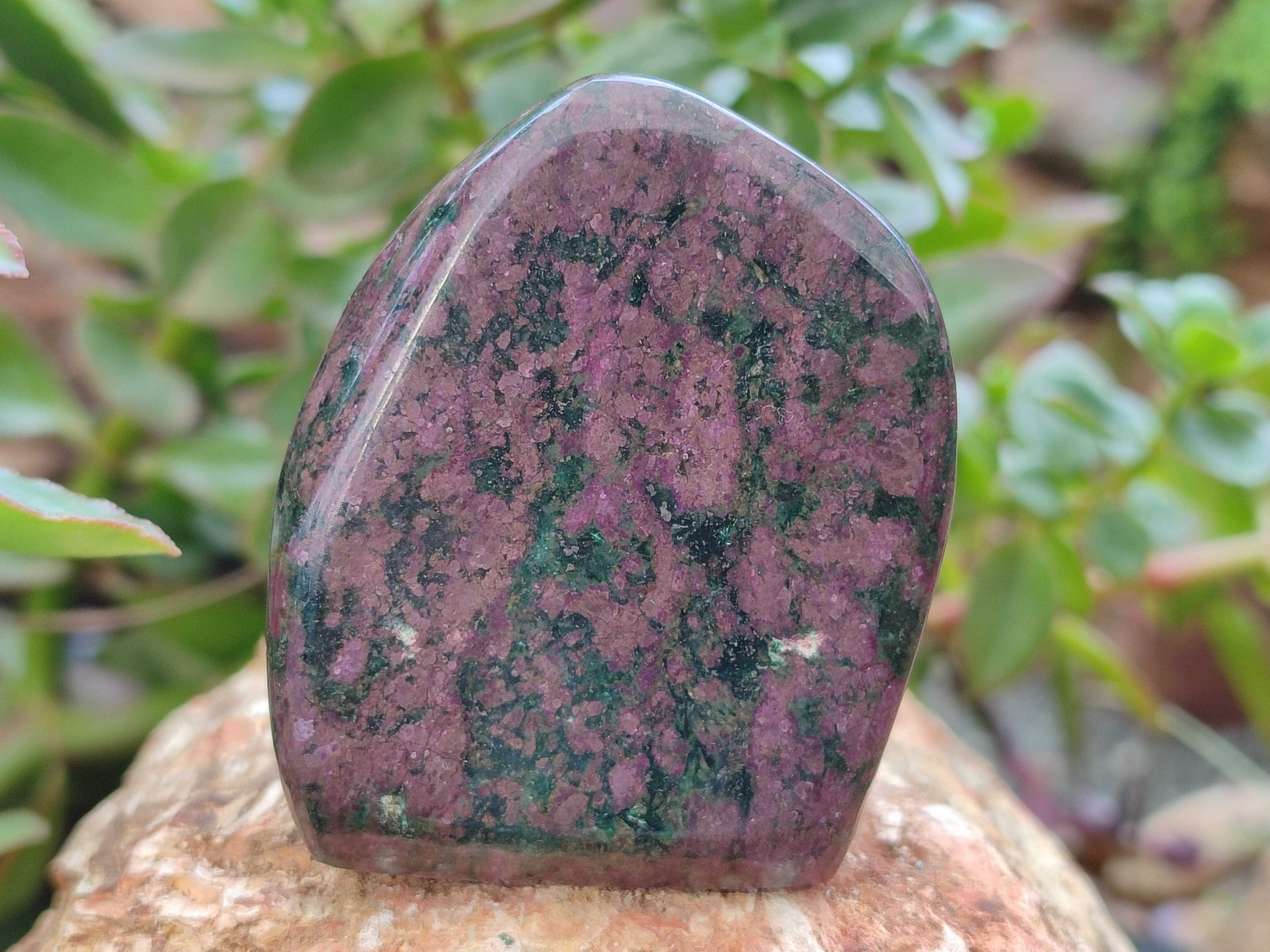 Polished Ruby Corundum In Chrome Verdite Standing Free Forms x 3 From Zimbabwe - Toprock Gemstones and Minerals 