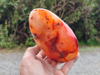 Polished Carnelian Standing Free Forms x 3 From Madagascar - Toprock Gemstones and Minerals 