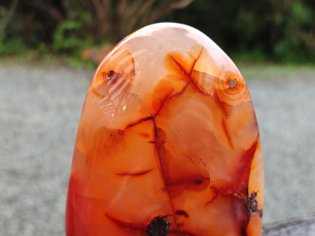 Polished Carnelian Standing Free Forms x 3 From Madagascar - Toprock Gemstones and Minerals 