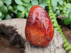 Polished Carnelian Standing Free Forms x 3 From Madagascar - Toprock Gemstones and Minerals 