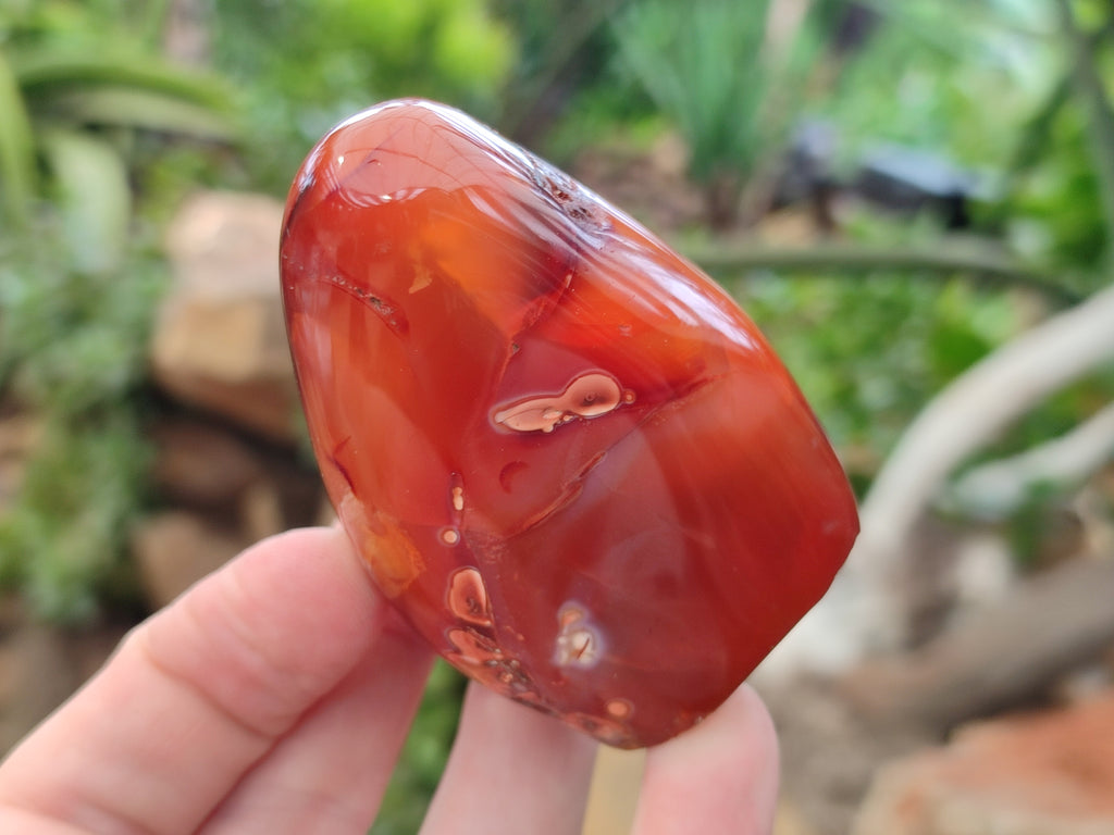 Polished Carnelian Standing Free Forms x 3 From Madagascar - Toprock Gemstones and Minerals 