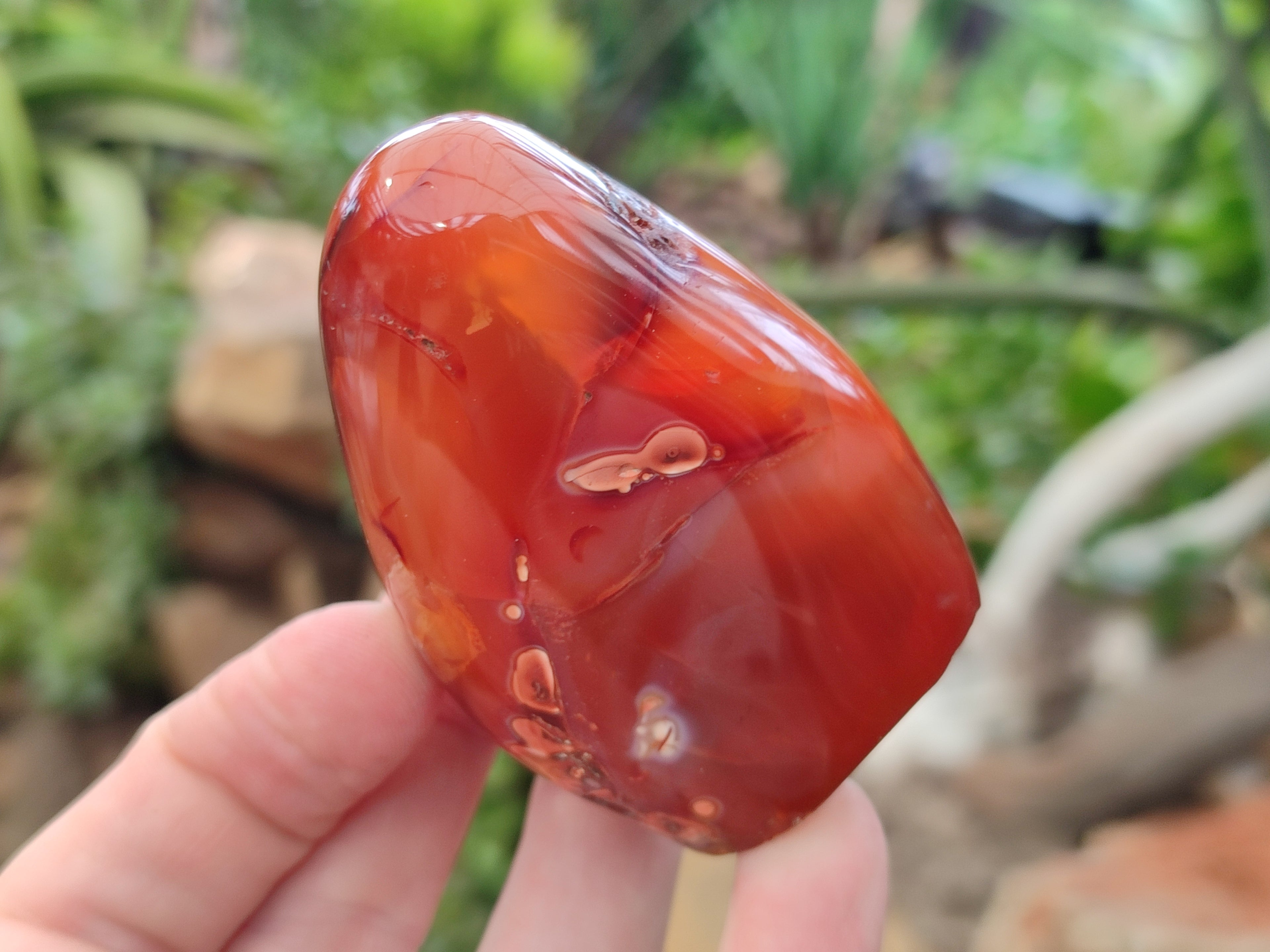 Polished Carnelian Standing Free Forms x 3 From Madagascar - Toprock Gemstones and Minerals 