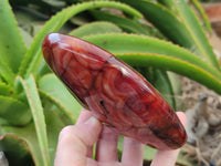 Polished Carnelian Standing Free Forms x 3 From Madagascar - Toprock Gemstones and Minerals 