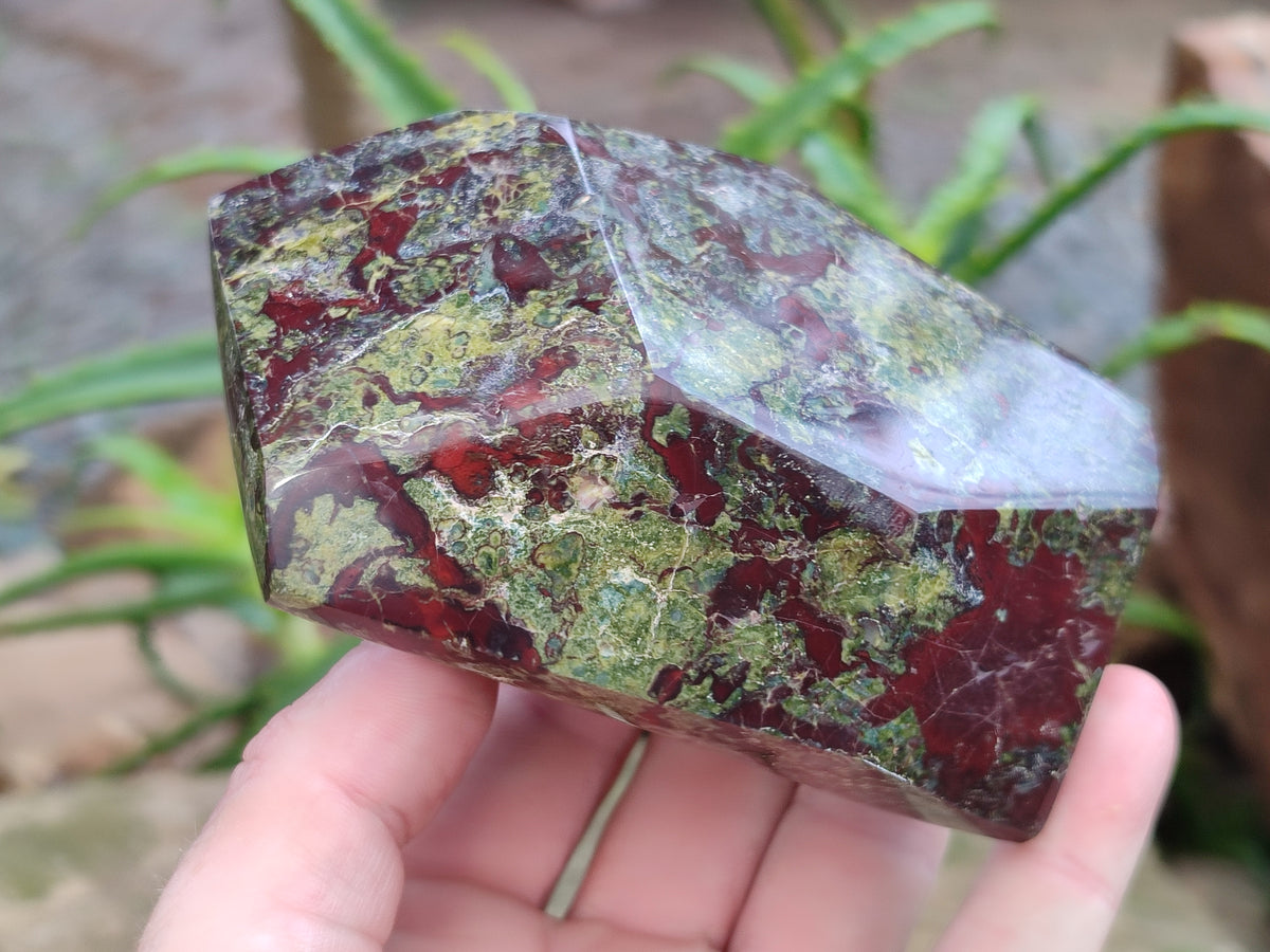Polished Bastite Dragons Blood Stone Points x 6 From Tshipise, South Africa - Toprock Gemstones and Minerals 