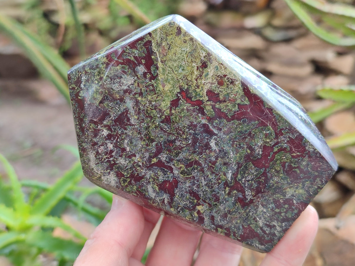 Polished Bastite Dragons Blood Stone Points x 6 From Tshipise, South Africa - Toprock Gemstones and Minerals 