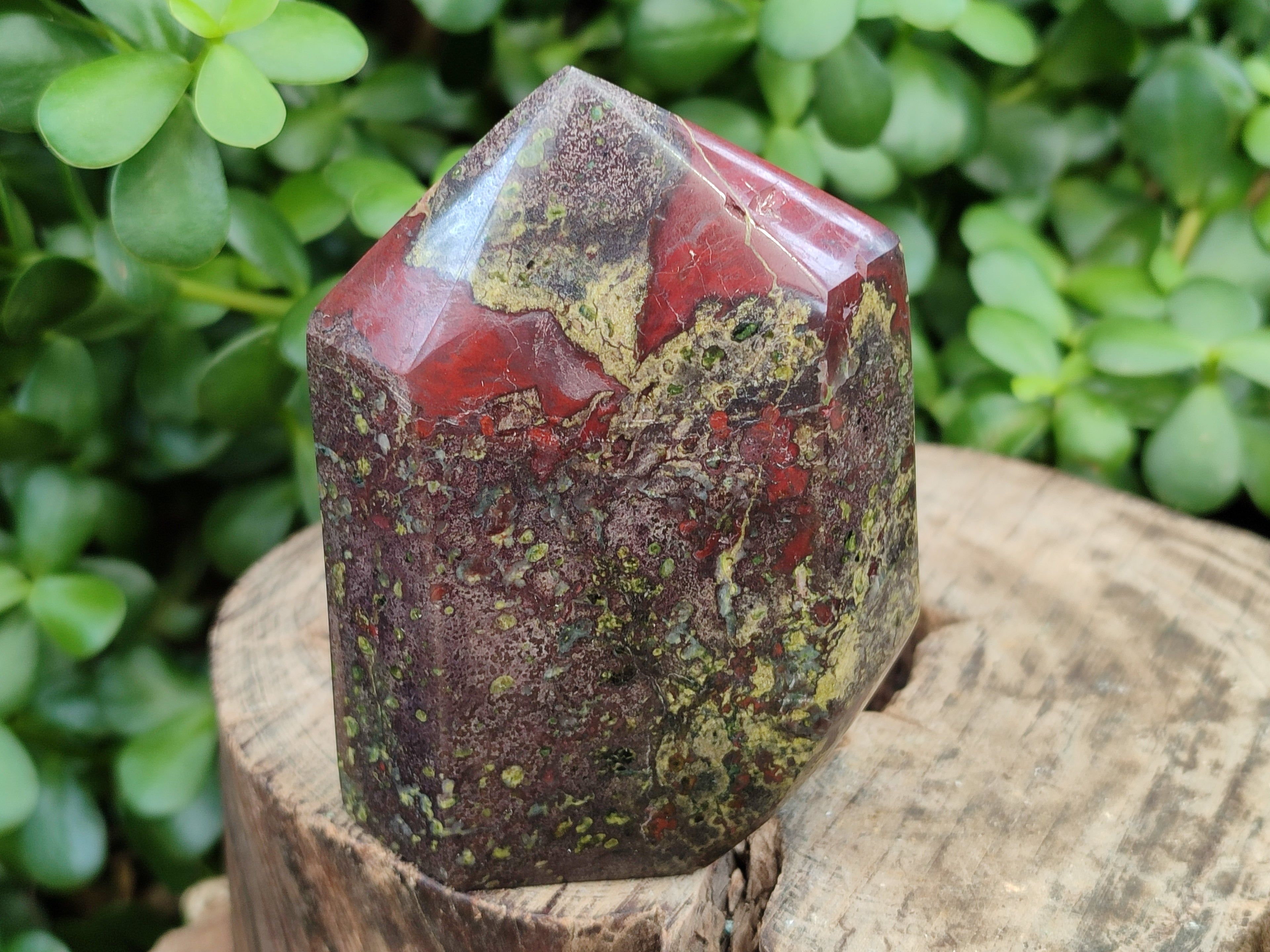 Polished Bastite Dragons Blood Stone Points x 6 From Tshipise, South Africa - Toprock Gemstones and Minerals 