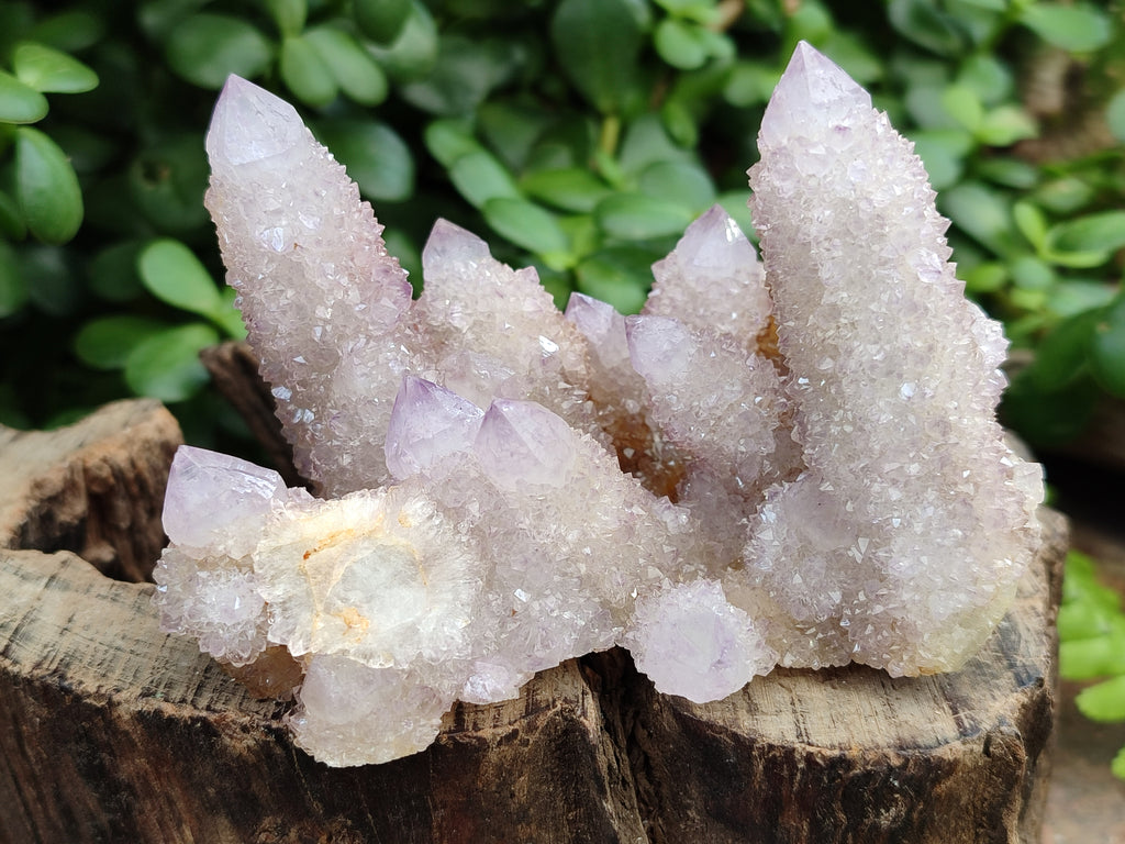Natural Amethyst Spirit Quartz Clusters x 3 From Boekenhouthoek, South Africa - Toprock Gemstones and Minerals 