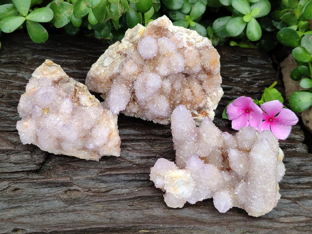 Natural Amethyst Spirit Quartz Clusters x 3 From Boekenhouthoek, South Africa - Toprock Gemstones and Minerals 