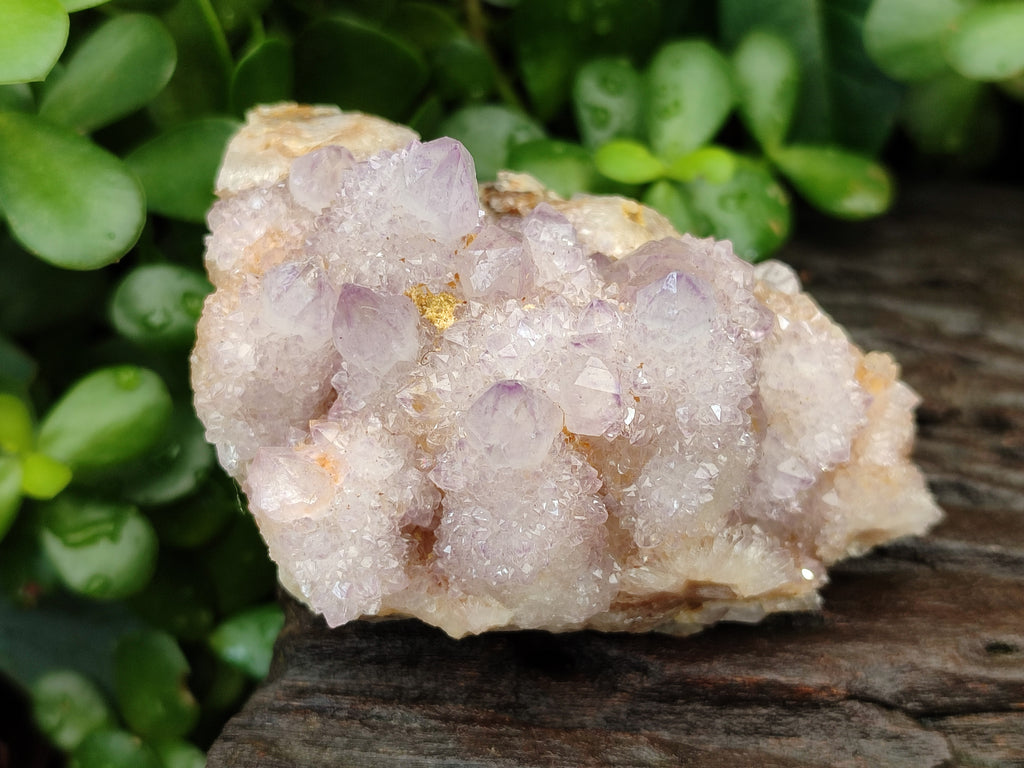 Natural Amethyst Spirit Quartz Clusters x 3 From Boekenhouthoek, South Africa - Toprock Gemstones and Minerals 