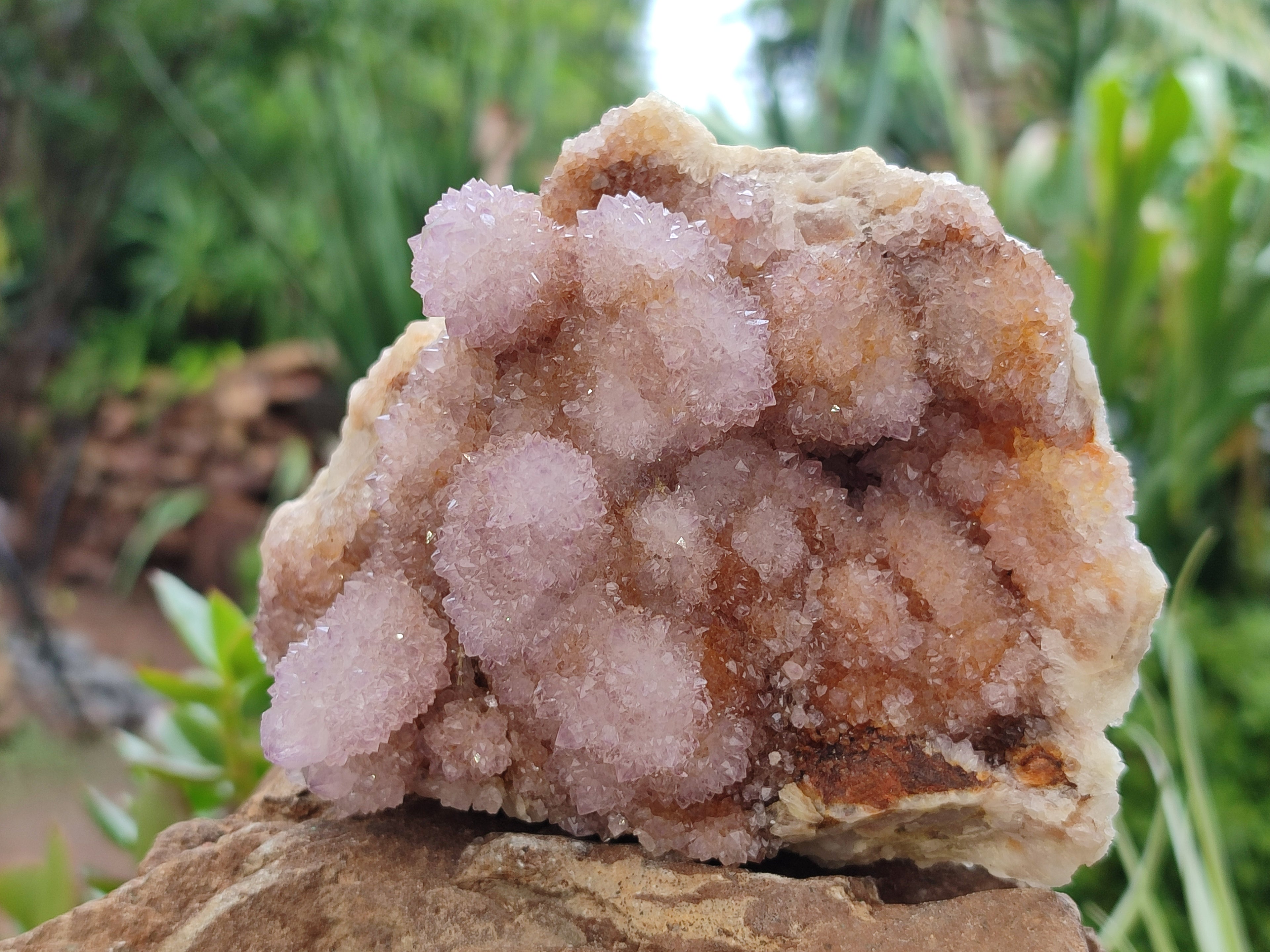 Natural Amethyst Spirit Quartz Clusters x 3 From Boekenhouthoek, South Africa - Toprock Gemstones and Minerals 