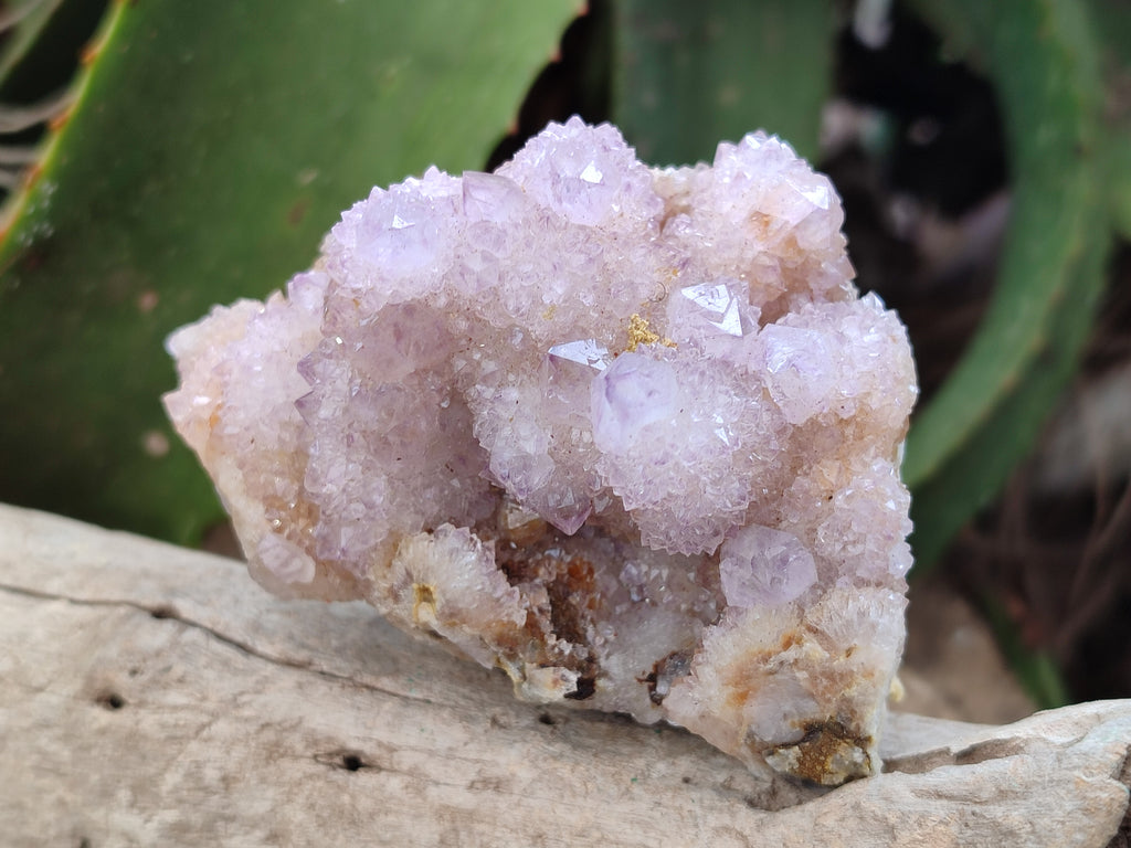 Natural Amethyst Spirit Quartz Clusters x 3 From Boekenhouthoek, South Africa - Toprock Gemstones and Minerals 