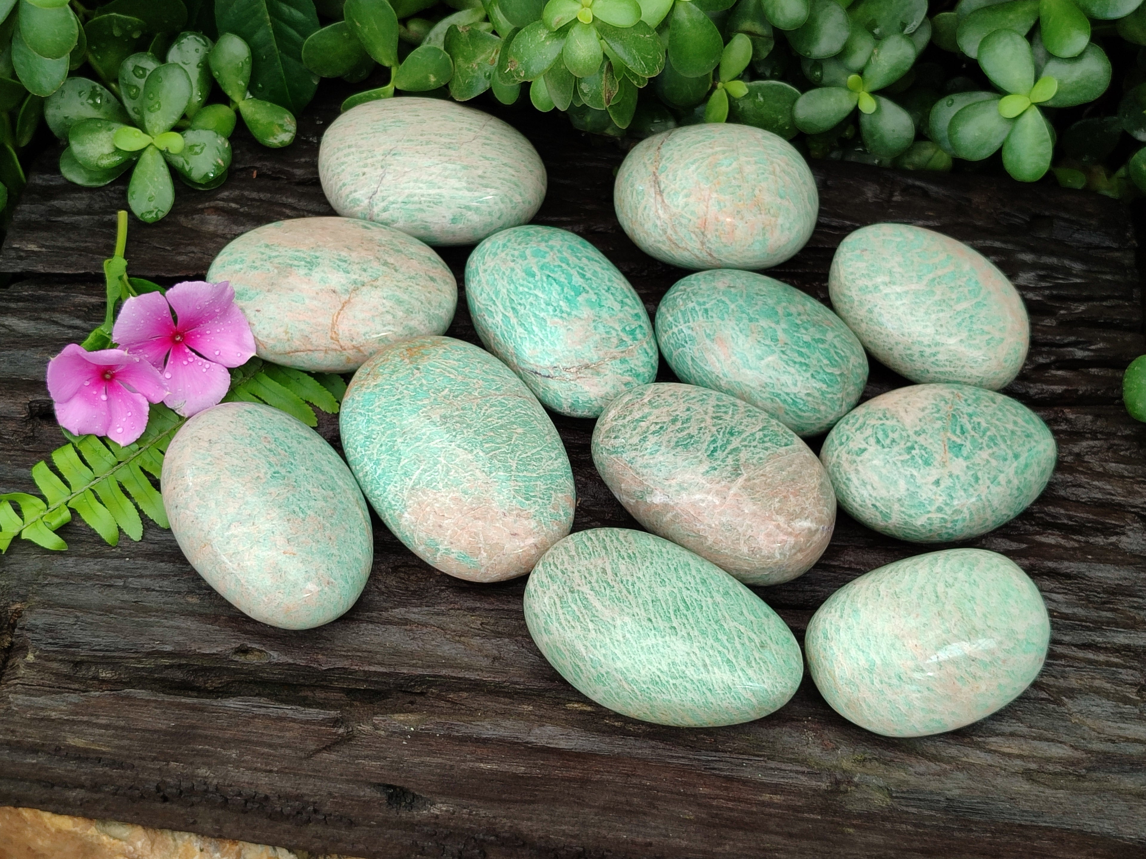 Polished Amazonite Palm Stones x 12 from Zimbabwe - Toprock Gemstones and Minerals 