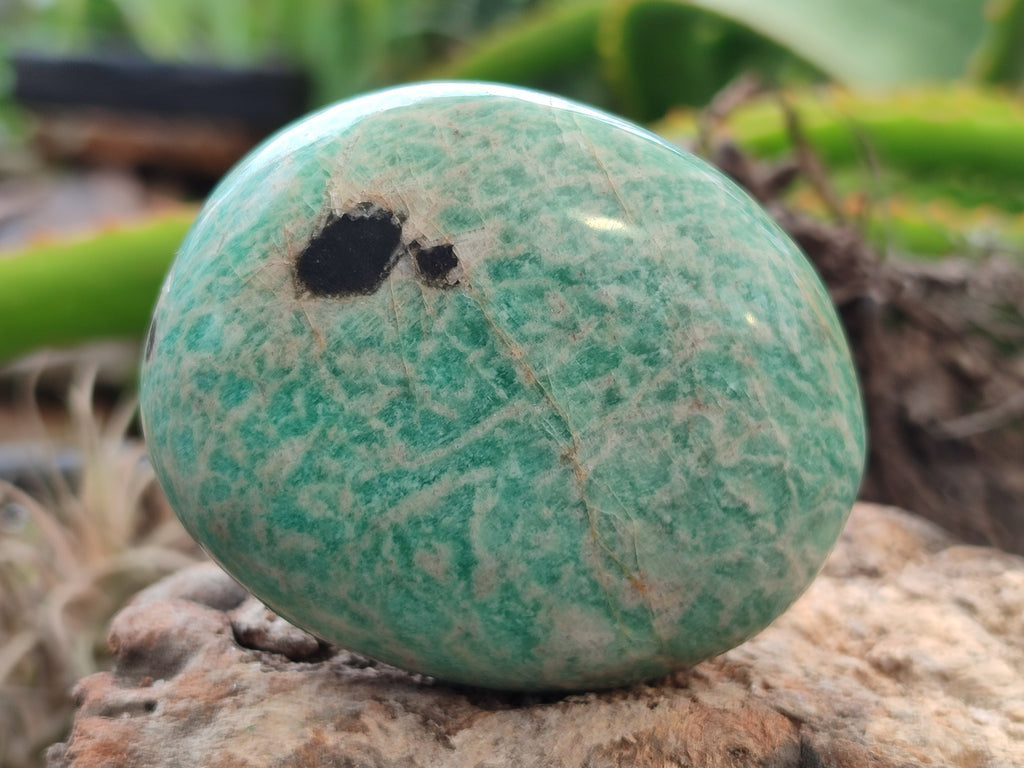 Polished Amazonite Palm Stones x 12 from Zimbabwe - Toprock Gemstones and Minerals 