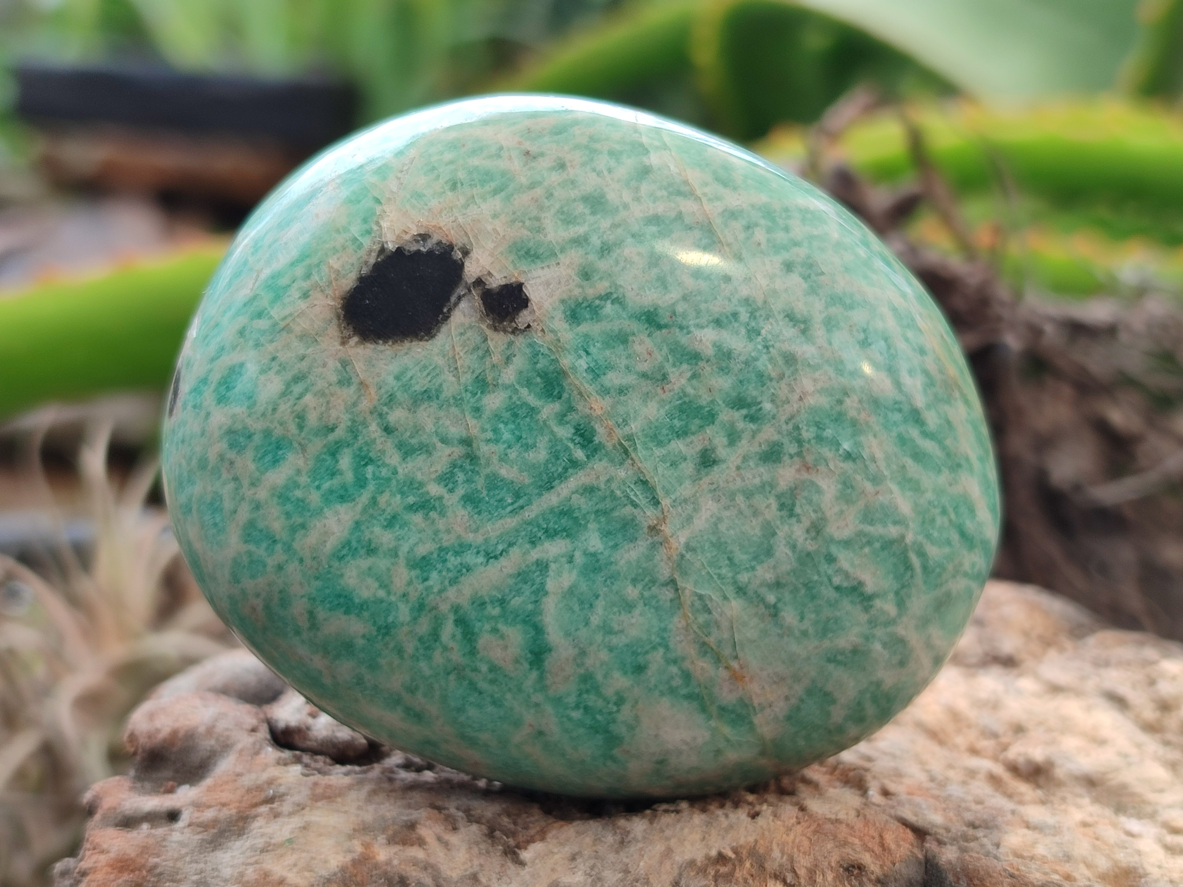 Polished Amazonite Palm Stones x 12 from Zimbabwe - Toprock Gemstones and Minerals 