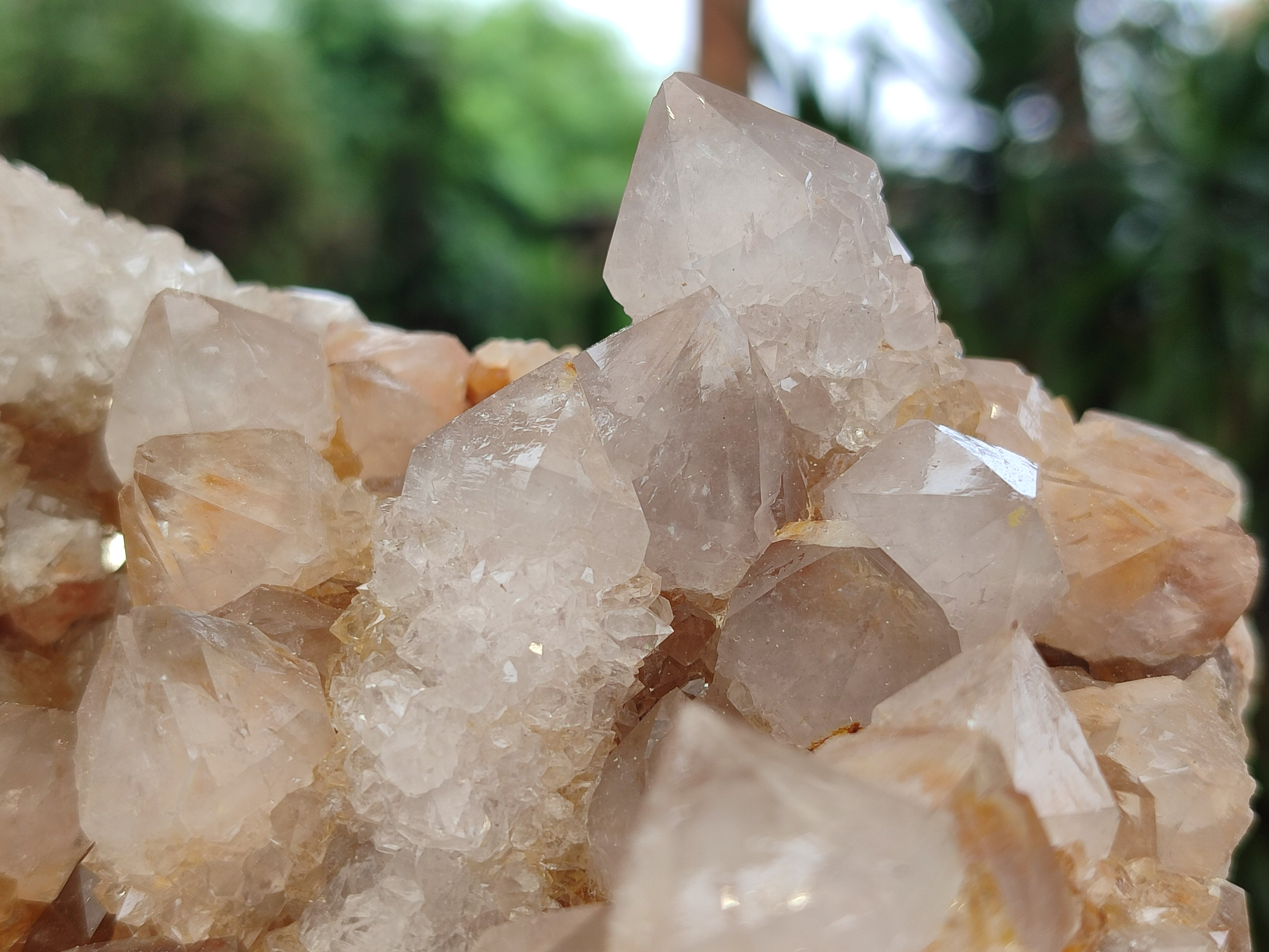 Natural Spirit Quartz Cluster x 1 From Boekenhouthoek, South Africa - Toprock Gemstones and Minerals 