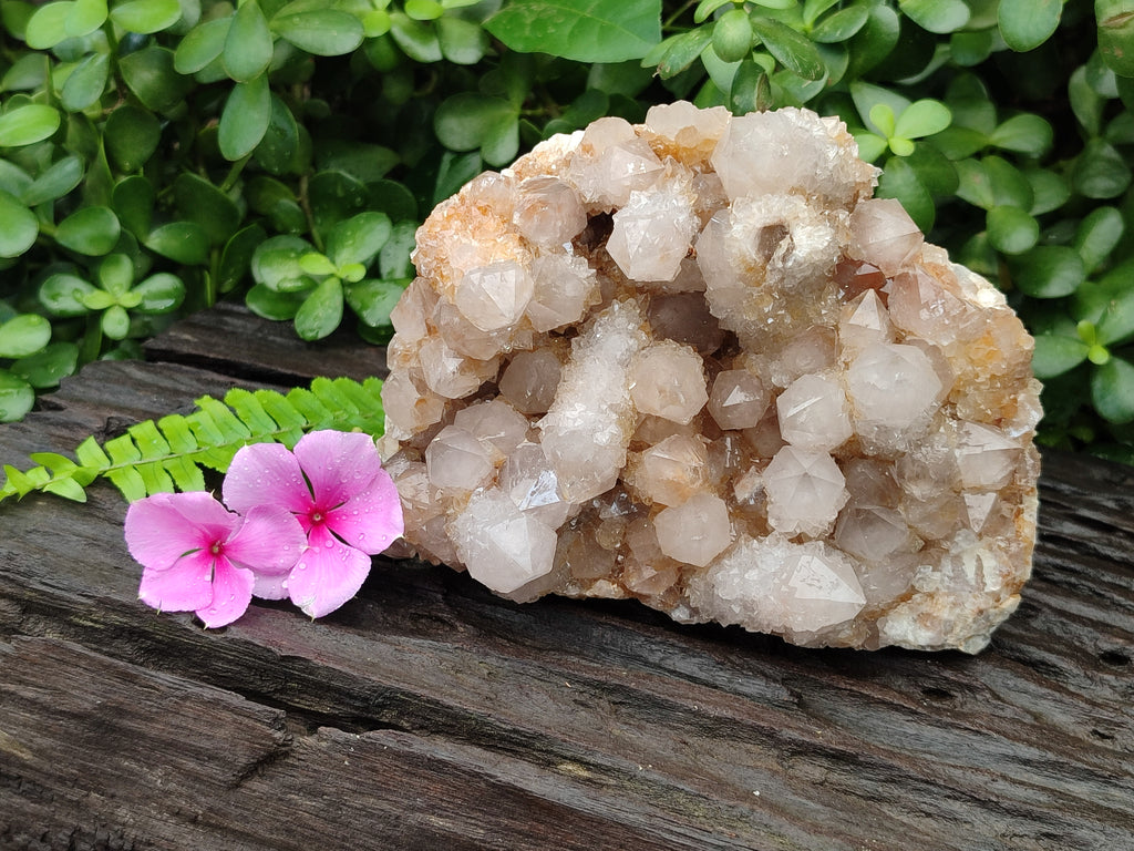 Natural Spirit Quartz Cluster x 1 From Boekenhouthoek, South Africa - Toprock Gemstones and Minerals 