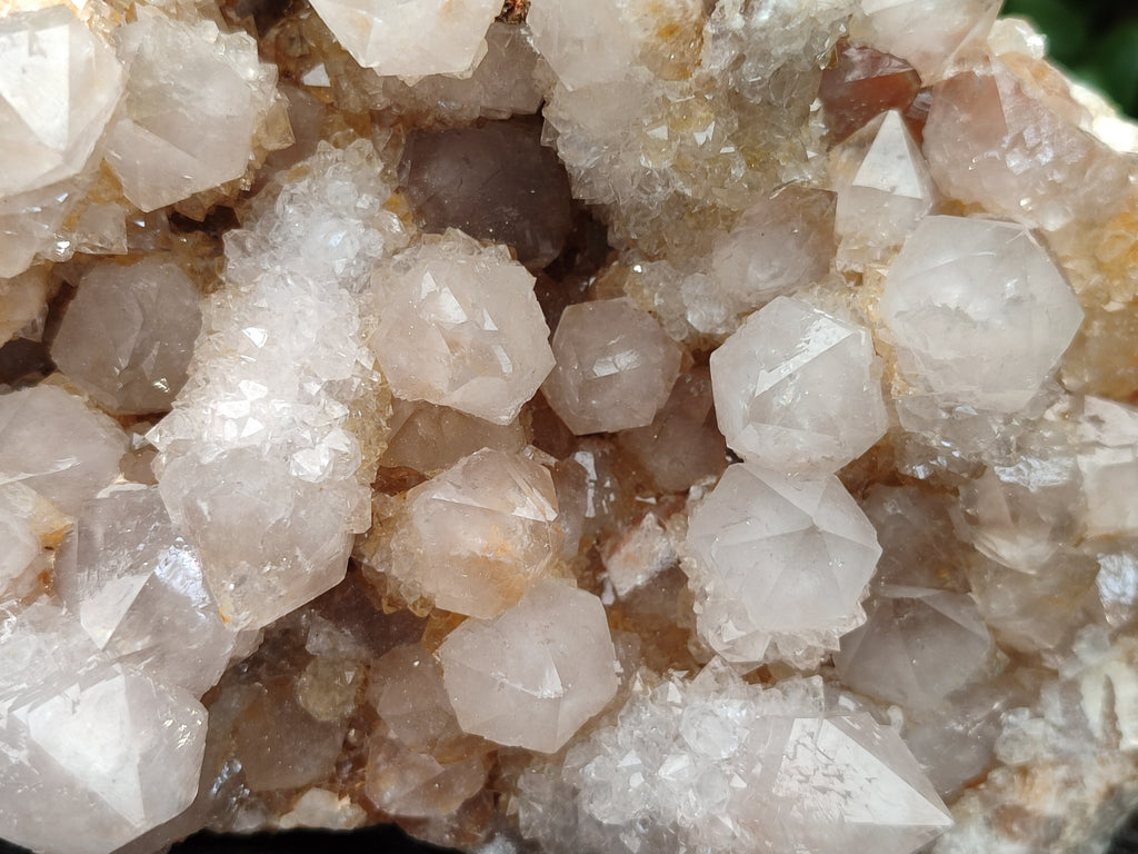 Natural Spirit Quartz Cluster x 1 From Boekenhouthoek, South Africa - Toprock Gemstones and Minerals 