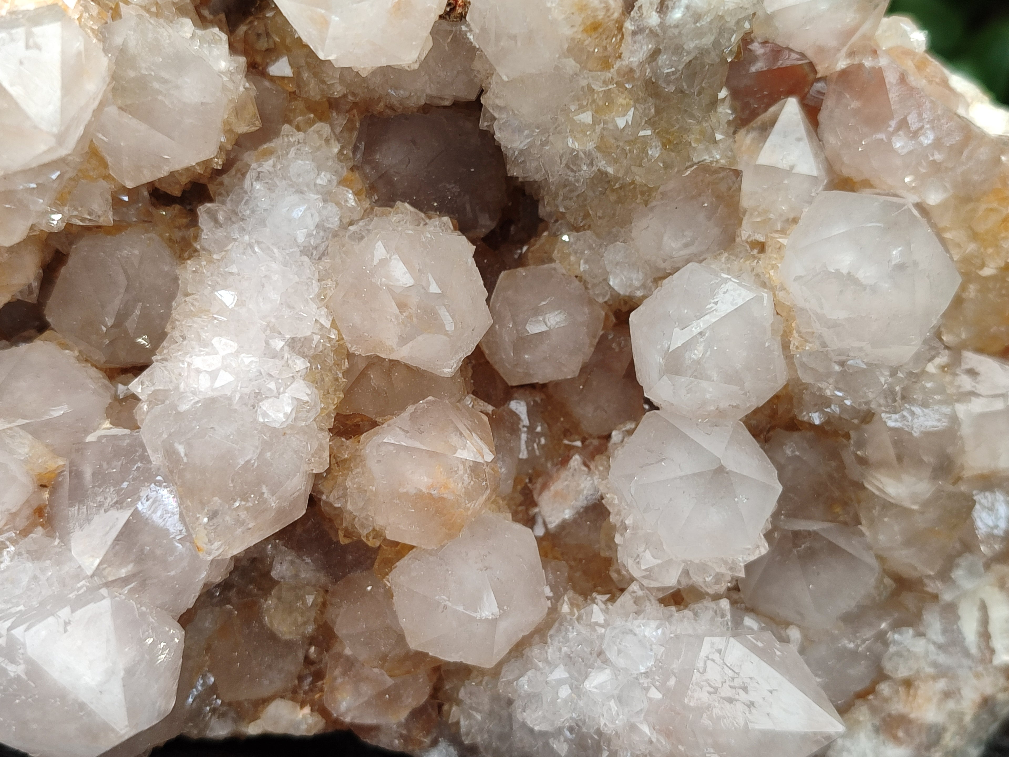 Natural Spirit Quartz Cluster x 1 From Boekenhouthoek, South Africa - Toprock Gemstones and Minerals 