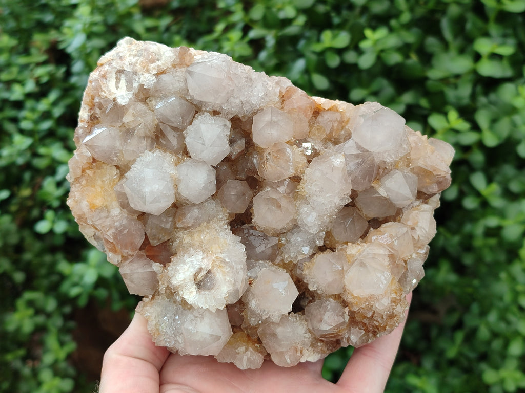 Natural Spirit Quartz Cluster x 1 From Boekenhouthoek, South Africa - Toprock Gemstones and Minerals 