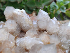 Natural Spirit Quartz Cluster x 1 From Boekenhouthoek, South Africa - Toprock Gemstones and Minerals 