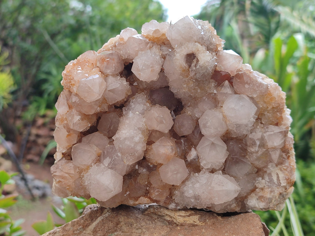 Natural Spirit Quartz Cluster x 1 From Boekenhouthoek, South Africa - Toprock Gemstones and Minerals 