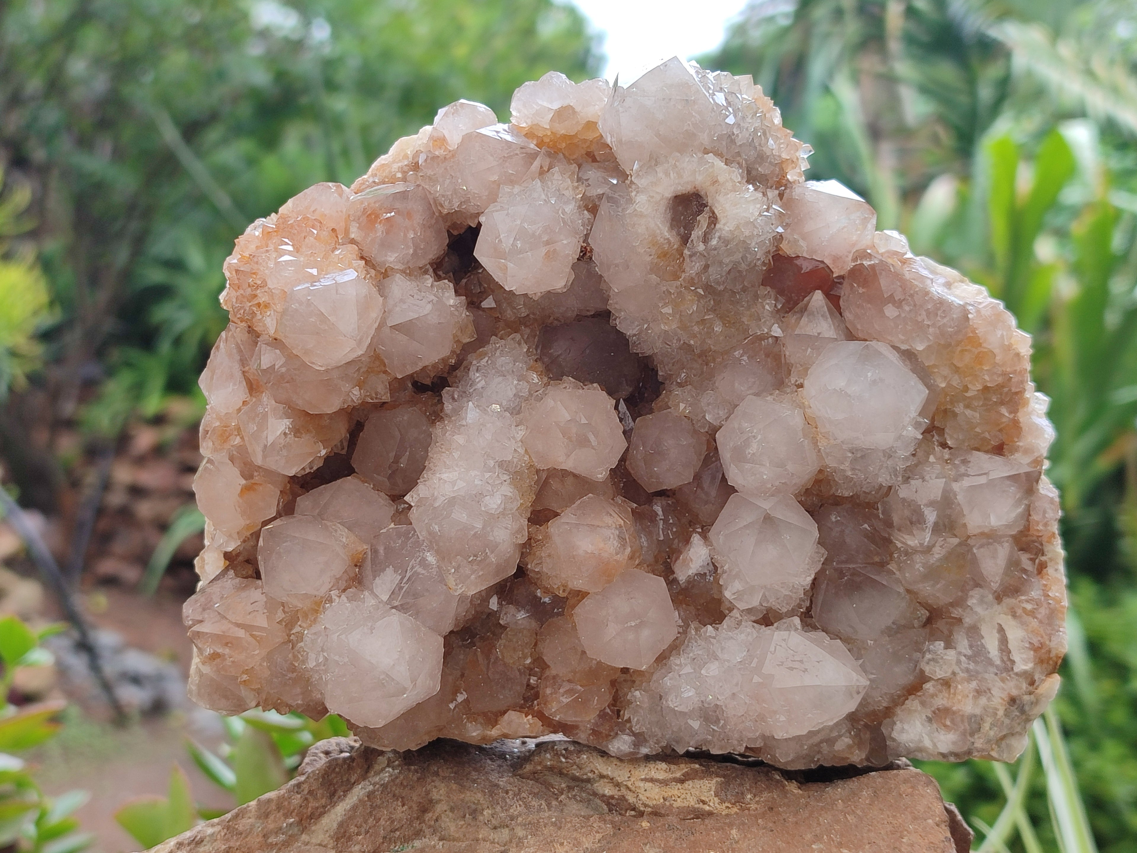 Natural Spirit Quartz Cluster x 1 From Boekenhouthoek, South Africa - Toprock Gemstones and Minerals 