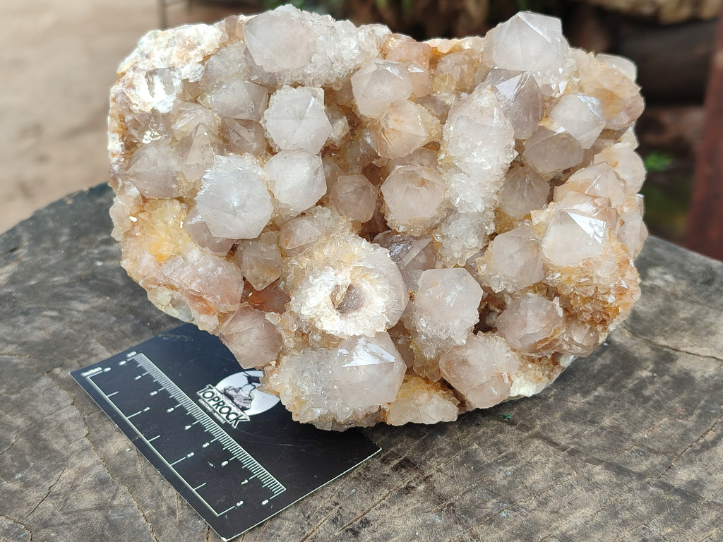 Natural Spirit Quartz Cluster x 1 From Boekenhouthoek, South Africa - Toprock Gemstones and Minerals 