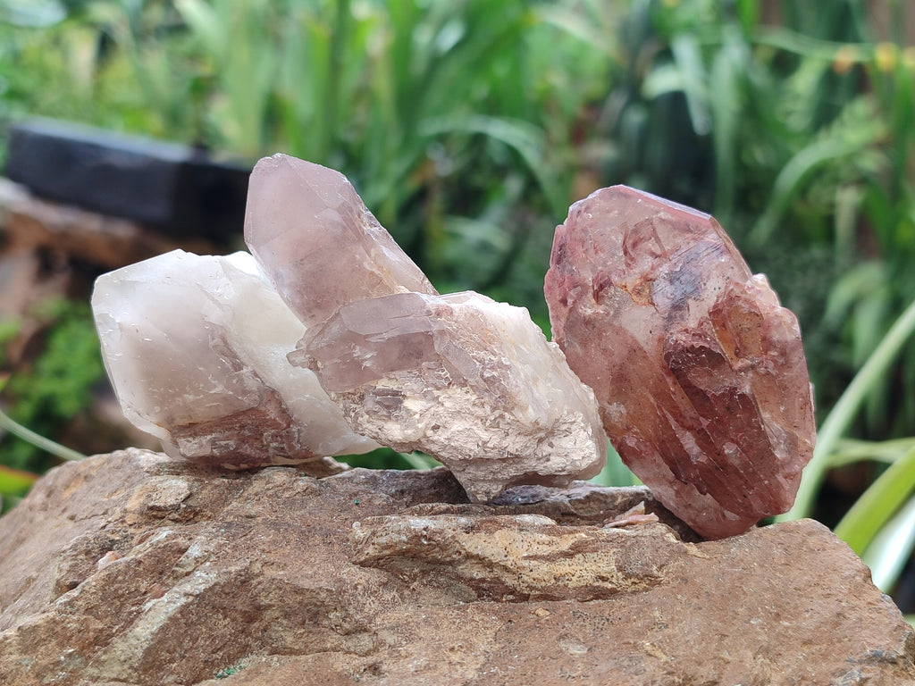 Natural Red Hematoid Quartz Clusters x 25 From Karoi, Zimbabwe - Toprock Gemstones and Minerals 