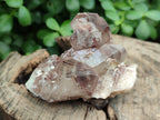Natural Red Hematoid Quartz Clusters x 25 From Karoi, Zimbabwe - Toprock Gemstones and Minerals 