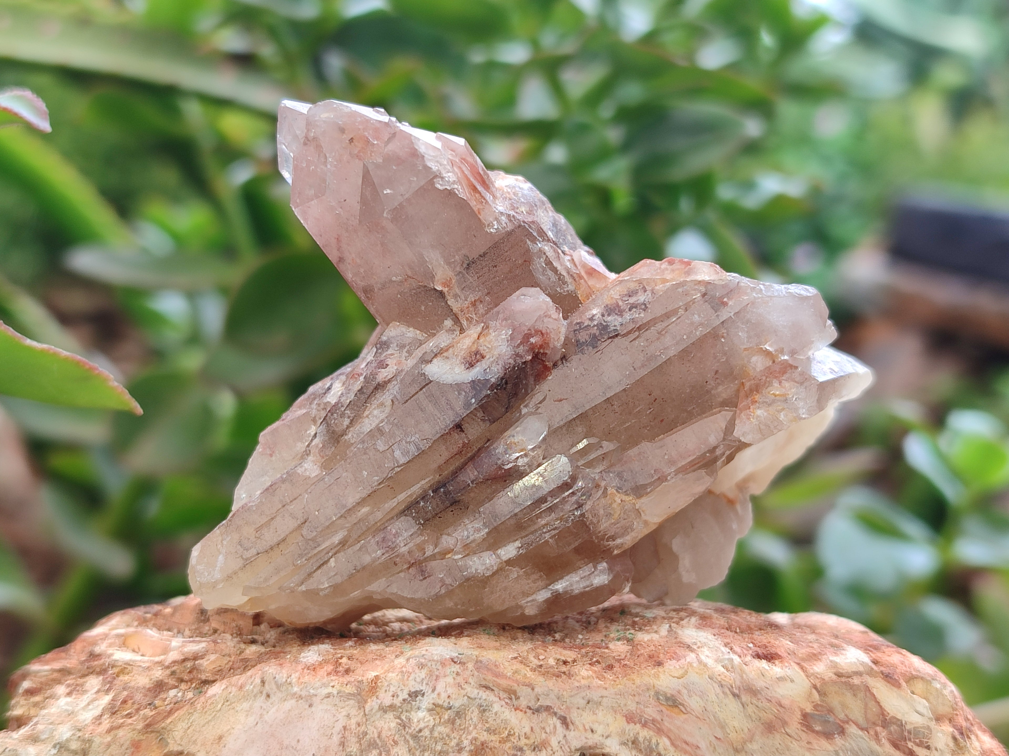 Natural Red Hematoid Quartz Clusters x 25 From Karoi, Zimbabwe - Toprock Gemstones and Minerals 