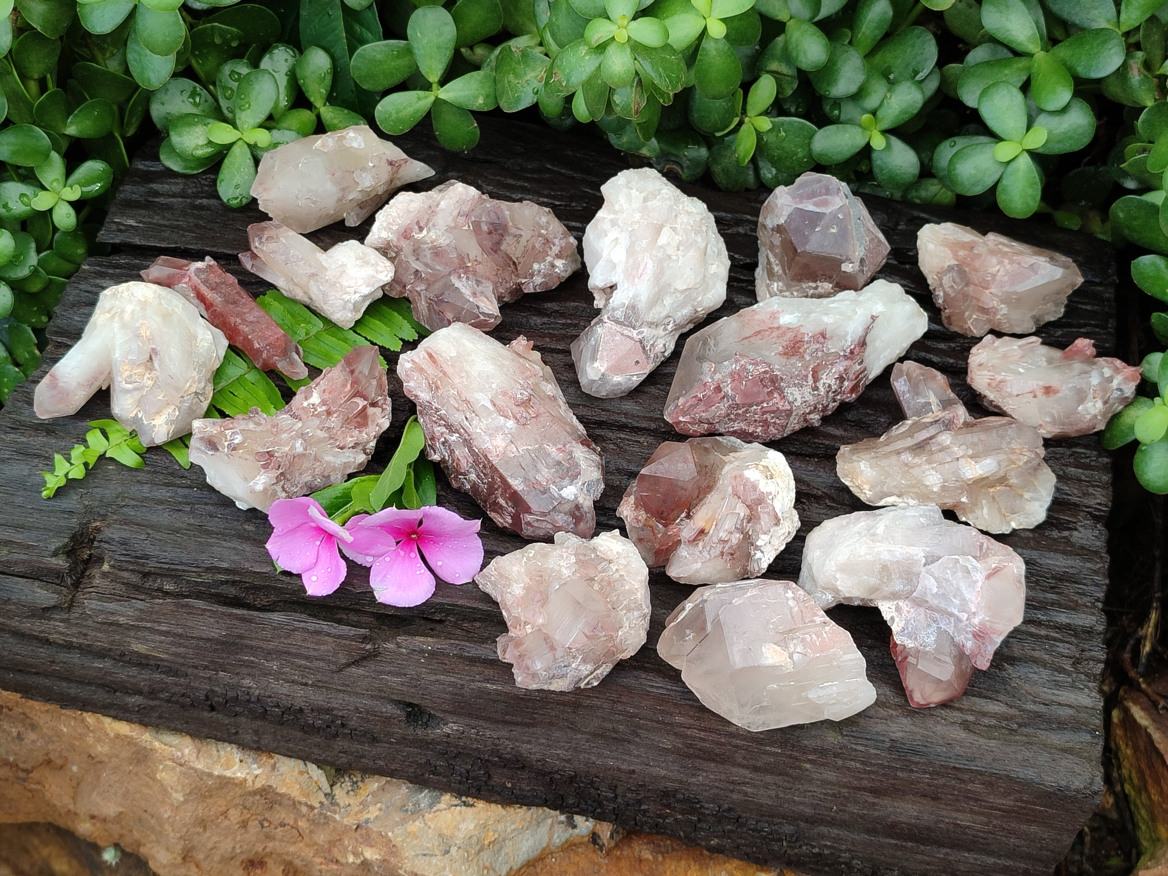 Natural Red Hematoid Quartz Clusters x 25 From Karoi, Zimbabwe - Toprock Gemstones and Minerals 