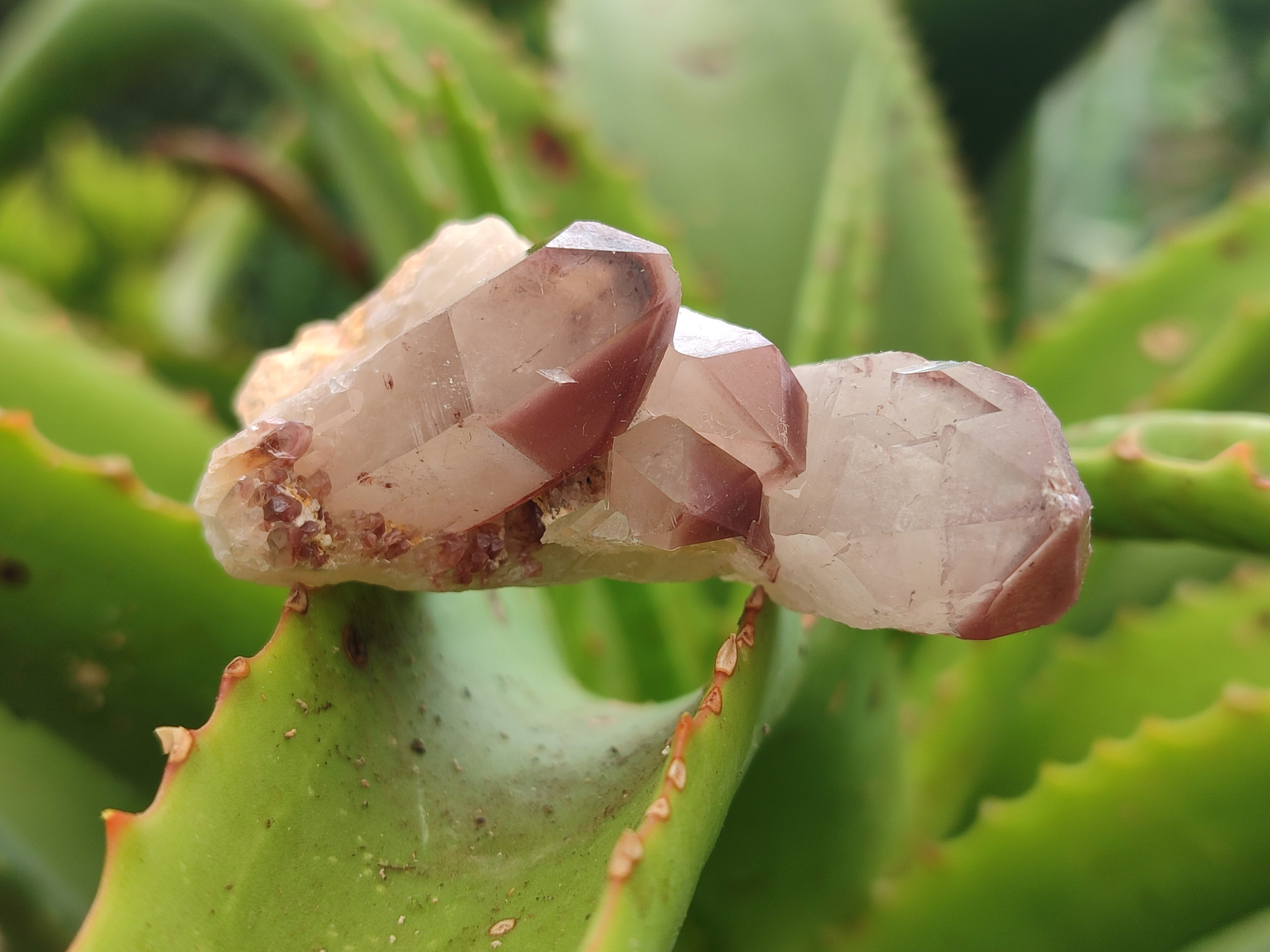Natural Red Hematoid Quartz Clusters x 25 From Karoi, Zimbabwe - Toprock Gemstones and Minerals 