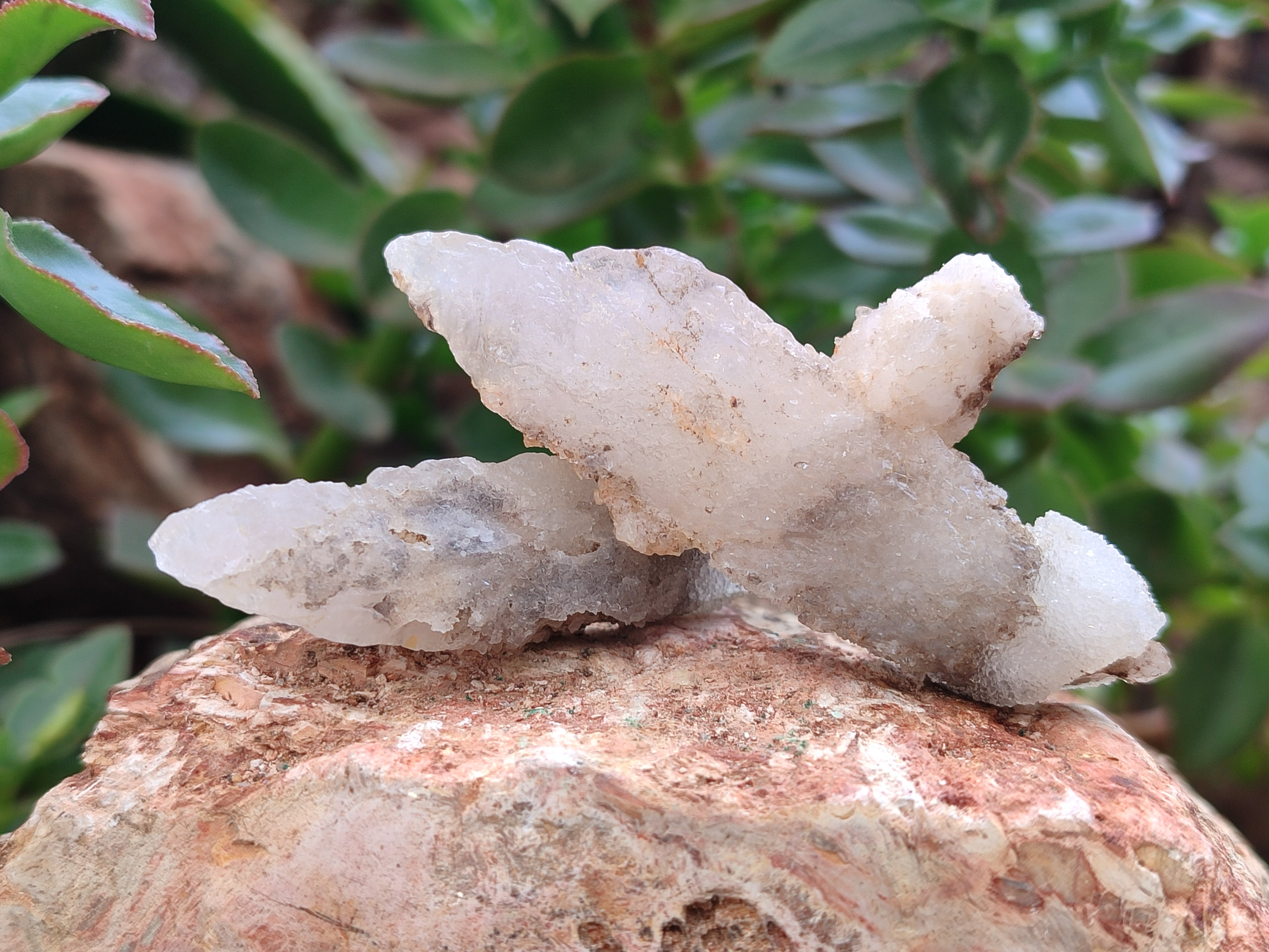 Natural Drusy Quartz Coated Calcite Pseudomorph Specimens x 20 From Alberts Mountain, Lesotho - Toprock Gemstones and Minerals 