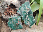 Polished On One Side Emerald Mtorolite Plates x 3 From Mutorashanga, Zimbabwe - Toprock Gemstones and Minerals 