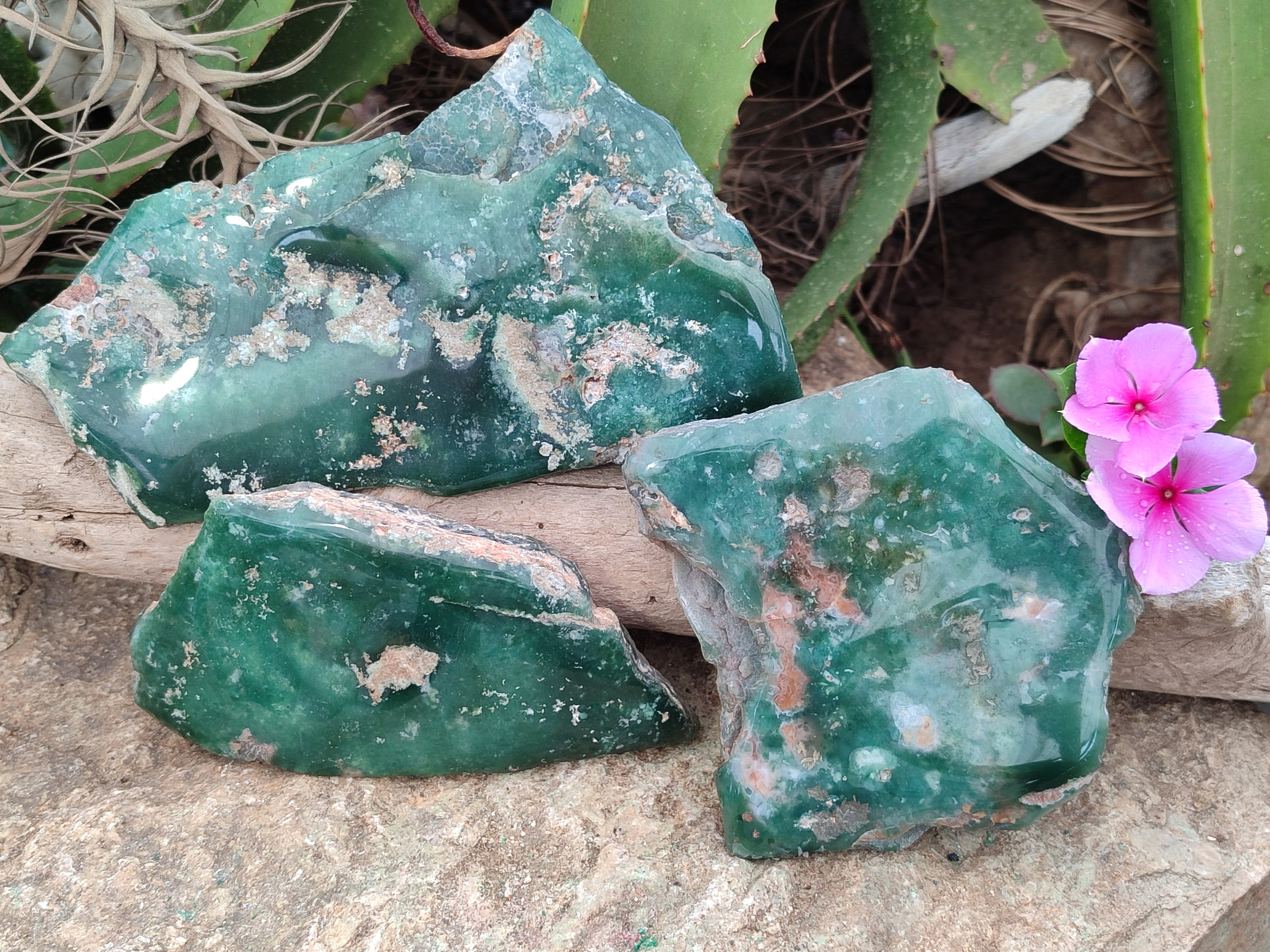Polished On One Side Emerald Mtorolite Plates x 3 From Mutorashanga, Zimbabwe - Toprock Gemstones and Minerals 
