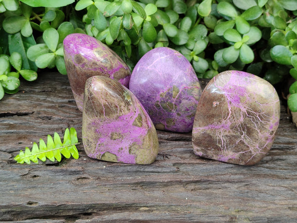 Polished Stichtite Standing Free Forms x 4 From Barberton, South Africa - Toprock Gemstones and Minerals 