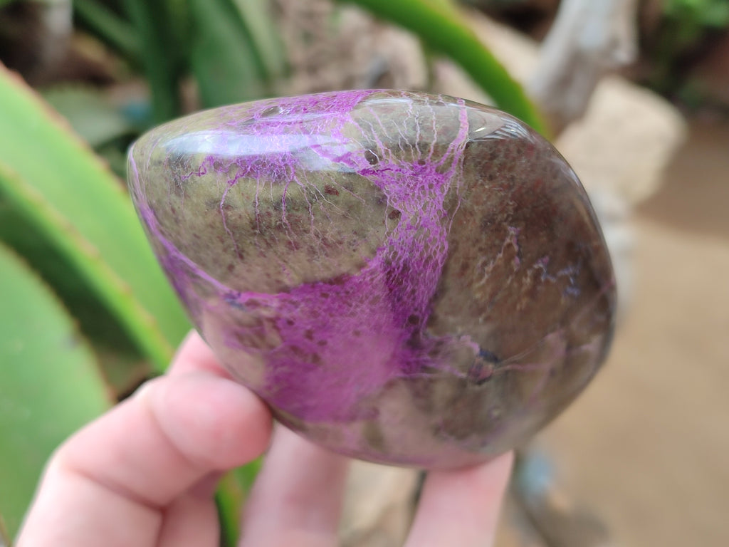 Polished Stichtite Standing Free Forms x 4 From Barberton, South Africa - Toprock Gemstones and Minerals 