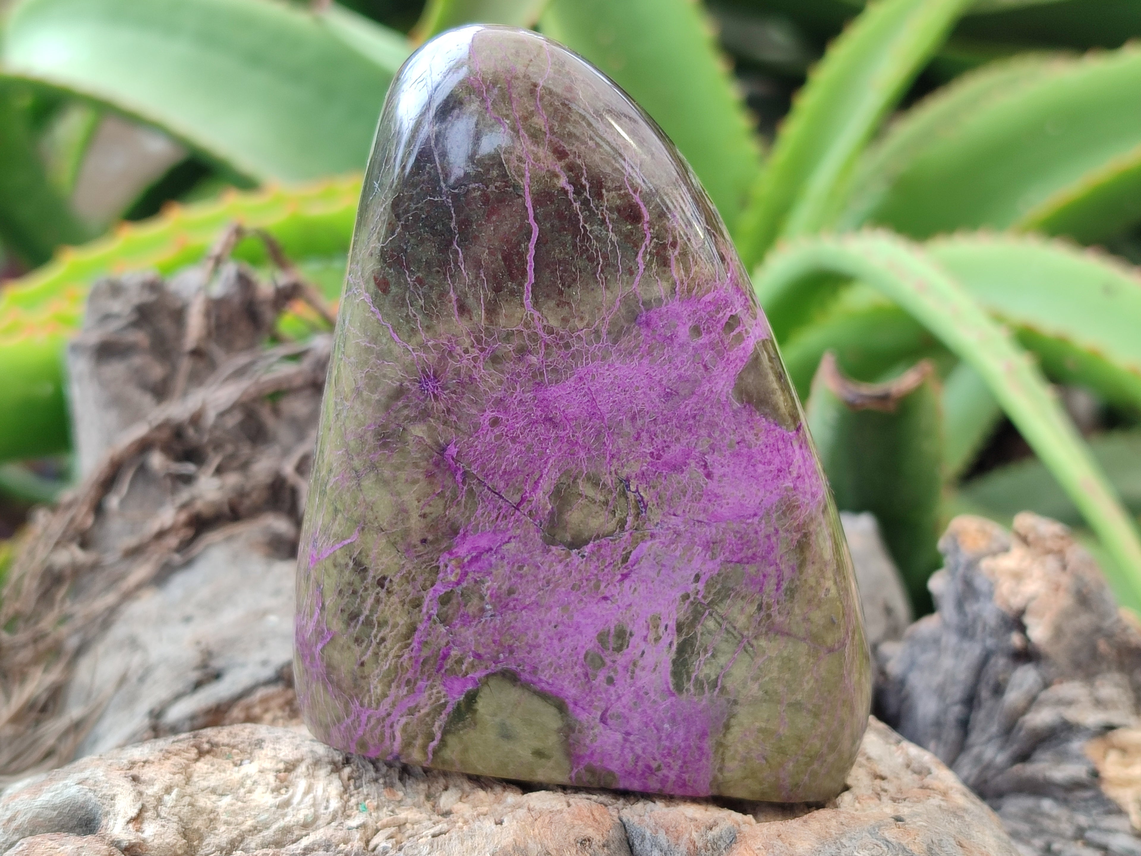 Polished Stichtite Standing Free Forms x 4 From Barberton, South Africa - Toprock Gemstones and Minerals 