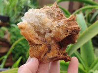 Natural Limonite Quartz Clusters x 6 From Solwezi, Zambia - Toprock Gemstones and Minerals 