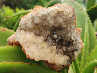 Natural Limonite Quartz Clusters x 6 From Solwezi, Zambia - Toprock Gemstones and Minerals 