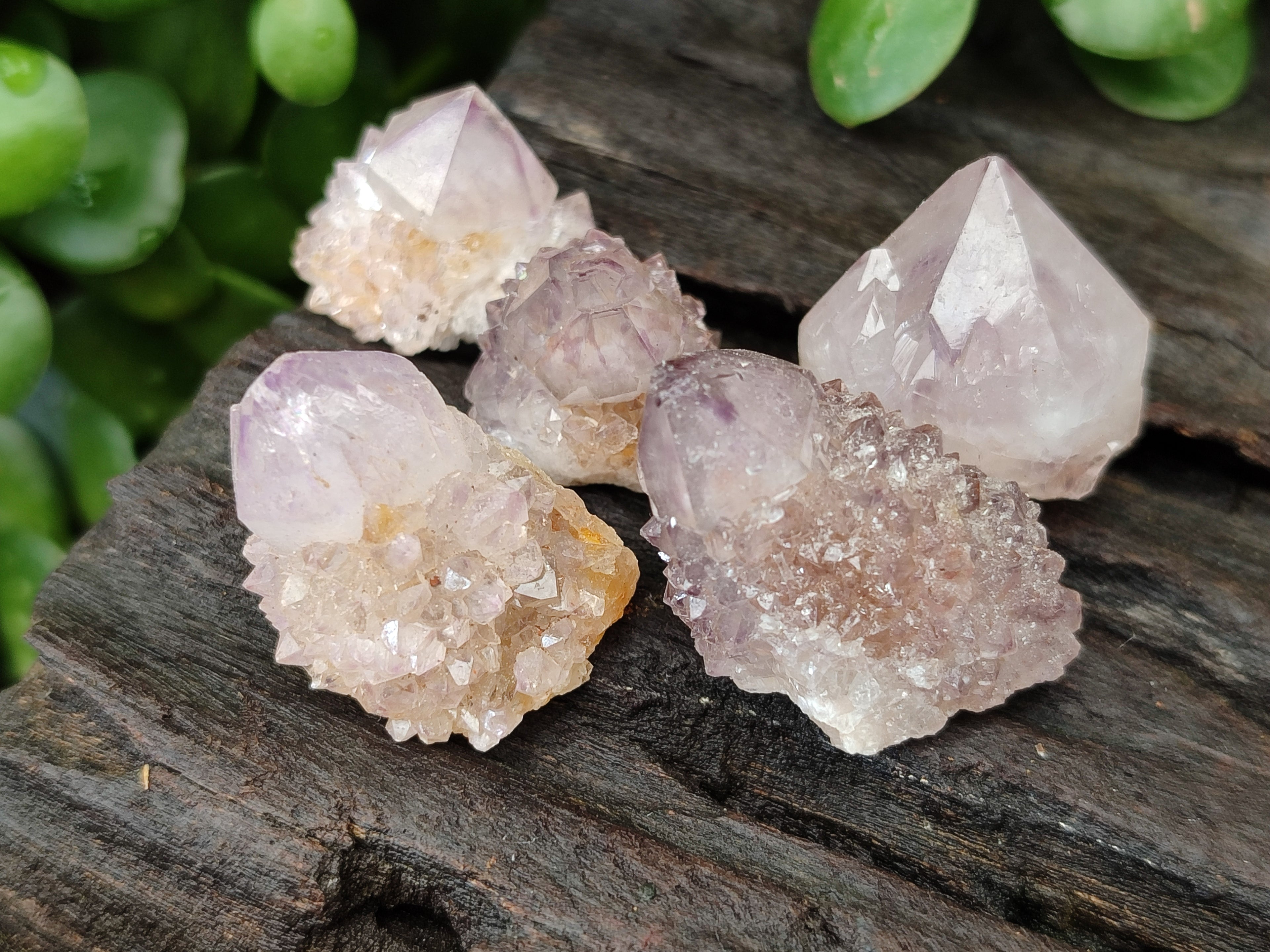 Natural Amethyst Spirit Quartz Crystals x 70 From Boekenhouthoek, South Africa - Toprock Gemstones and Minerals 