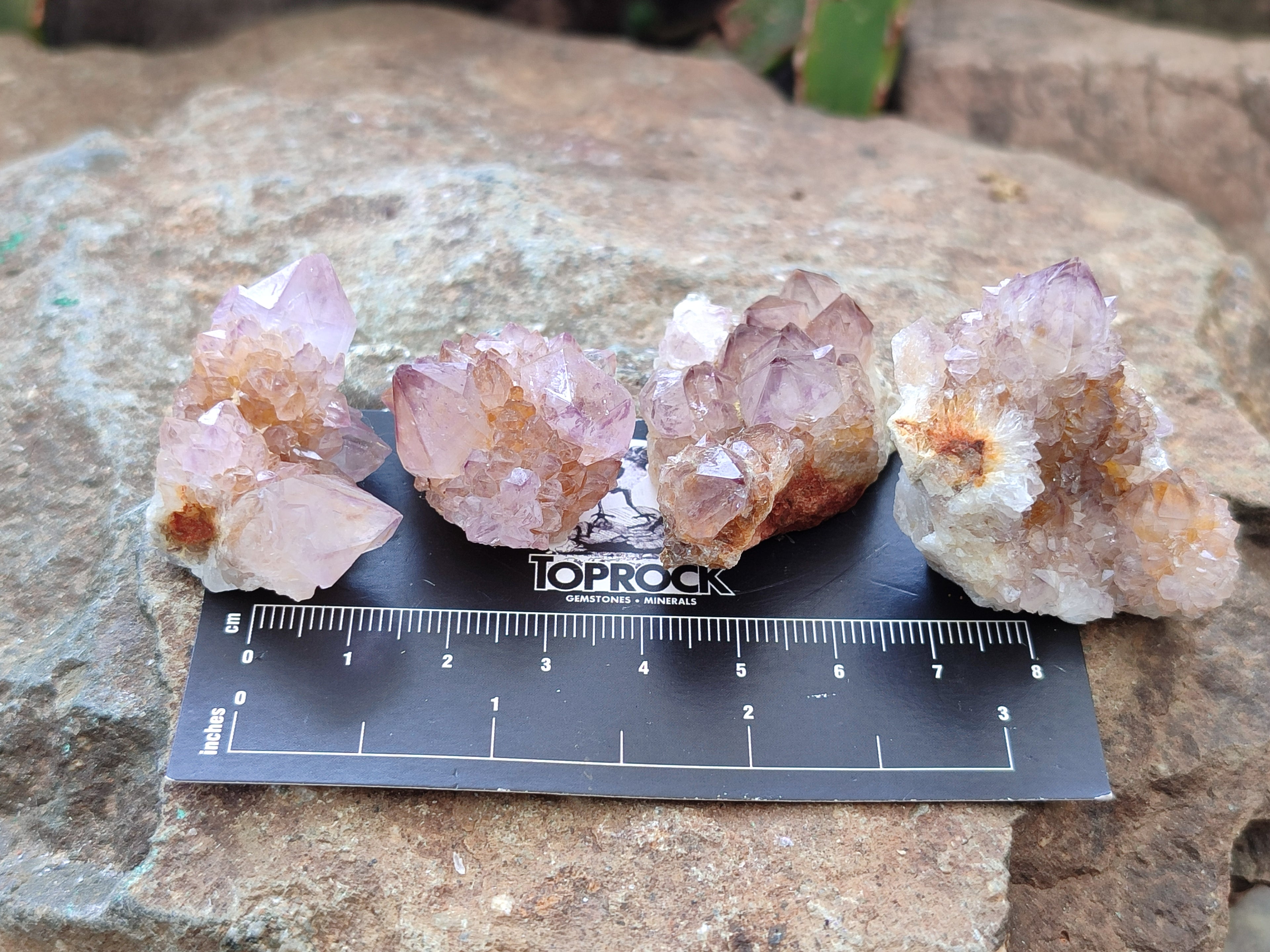 Natural Amethyst Spirit Quartz Crystals x 70 From Boekenhouthoek, South Africa - Toprock Gemstones and Minerals 