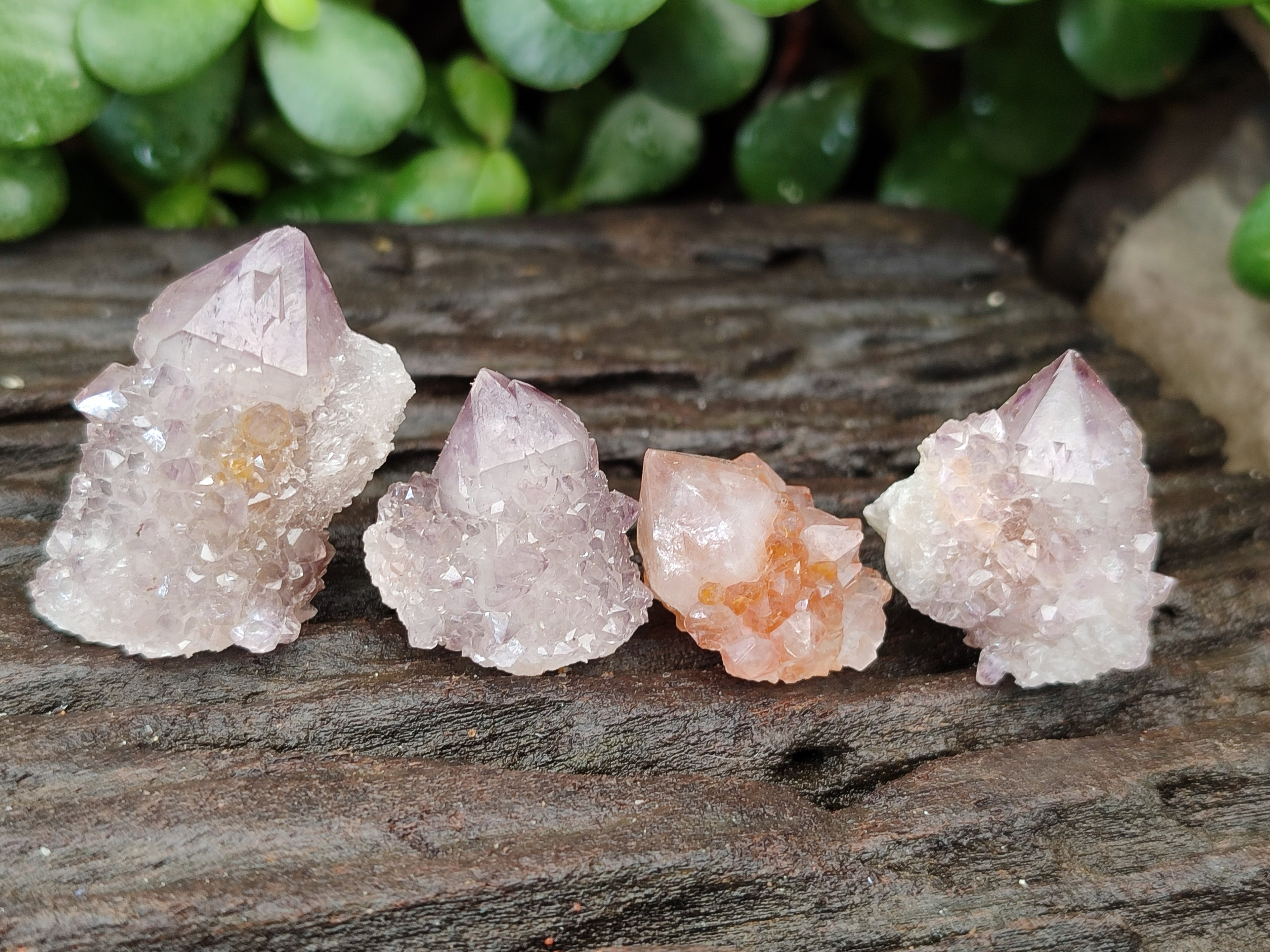 Natural Amethyst Spirit Quartz Crystals x 70 From Boekenhouthoek, South Africa - Toprock Gemstones and Minerals 