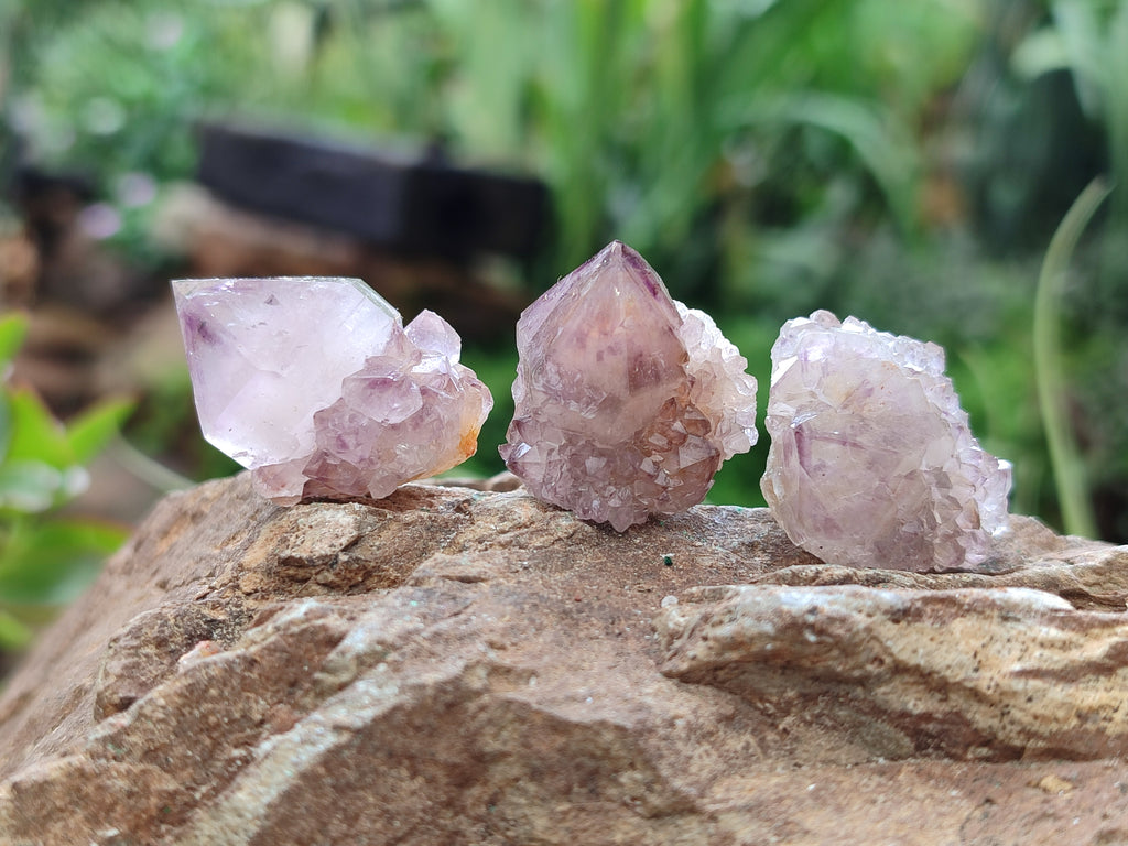 Natural Amethyst Spirit Quartz Crystals x 70 From Boekenhouthoek, South Africa - Toprock Gemstones and Minerals 