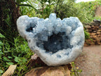 Natural Celestite Geode Specimen x 1 From Sakoany, Madagascar - Toprock Gemstones and Minerals 