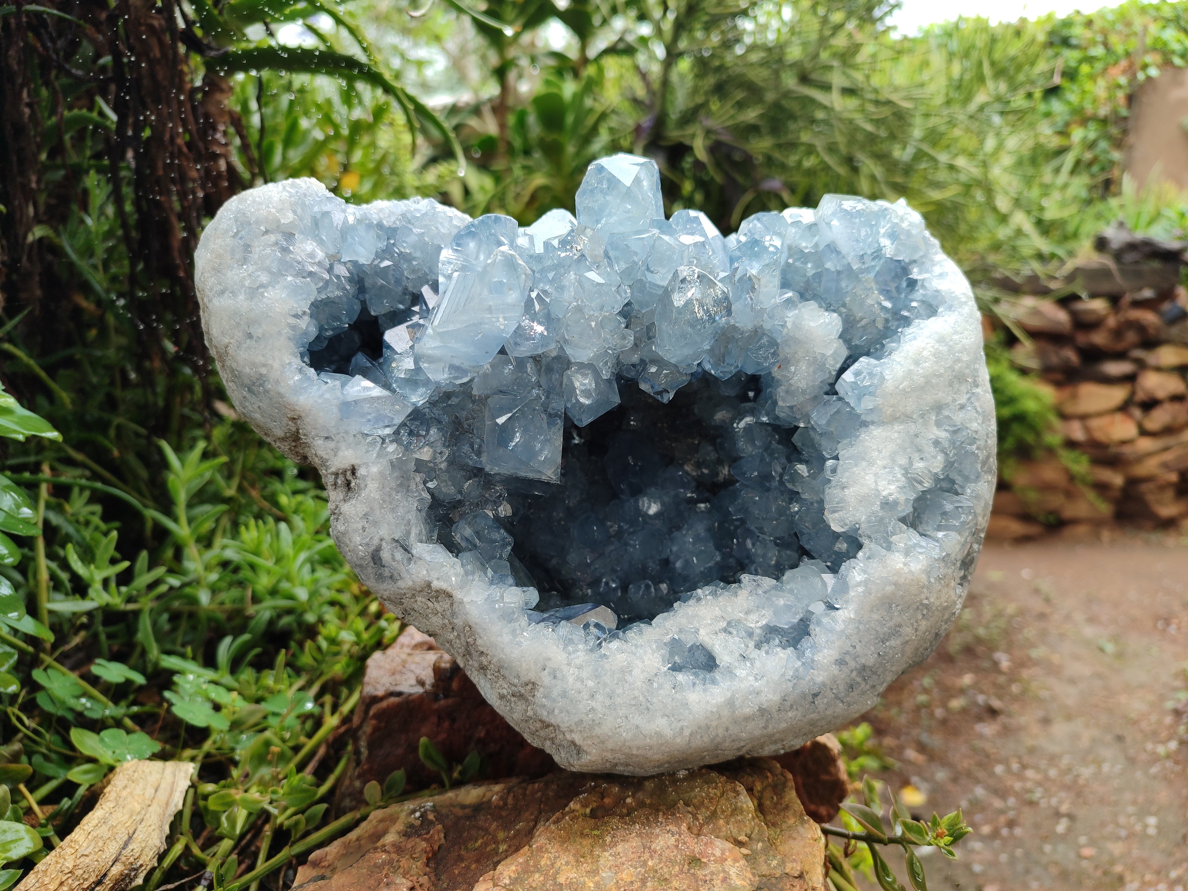 Natural Celestite Geode Specimen x 1 From Sakoany, Madagascar - Toprock Gemstones and Minerals 