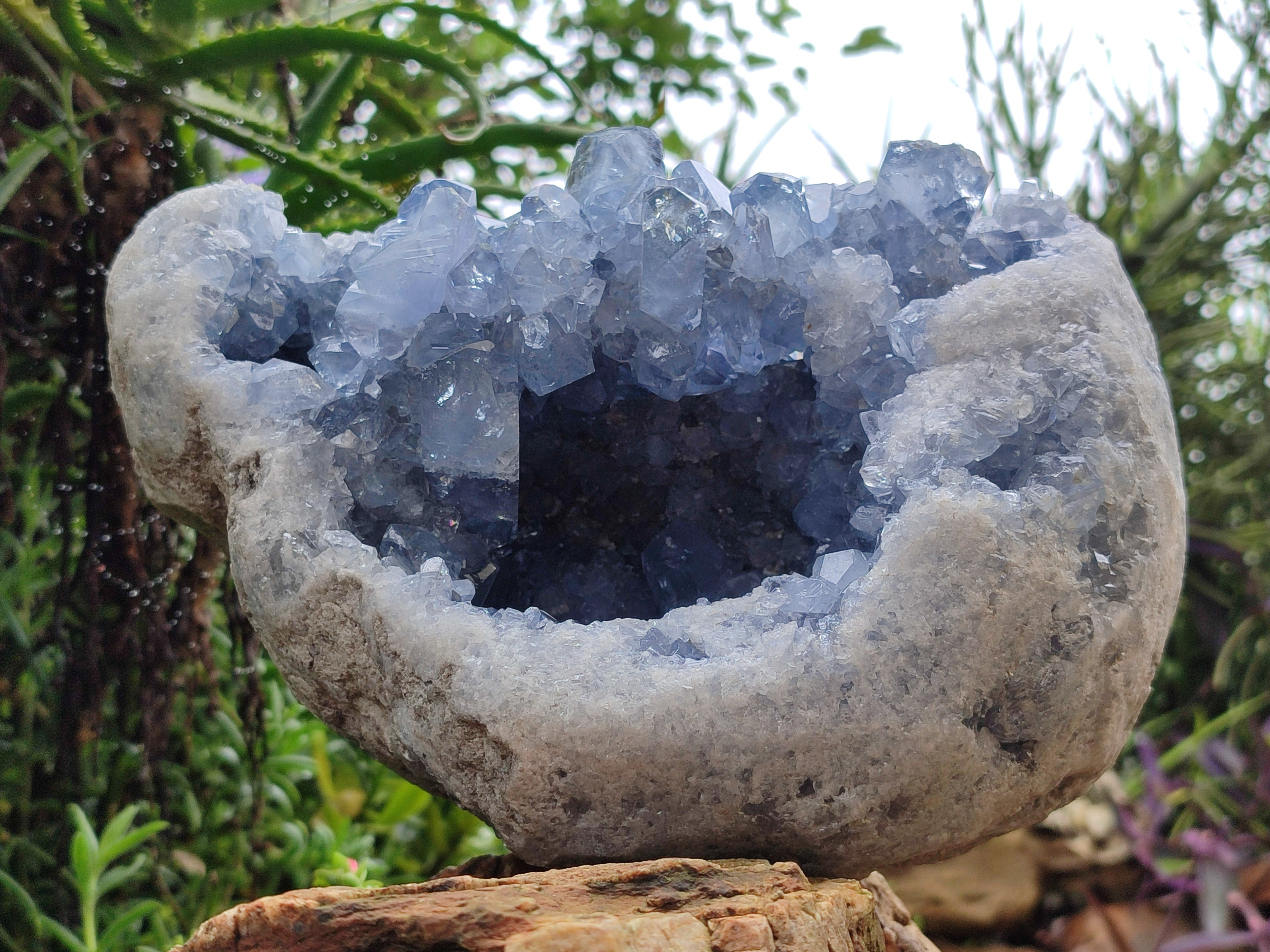 Natural Celestite Geode Specimen x 1 From Sakoany, Madagascar - Toprock Gemstones and Minerals 